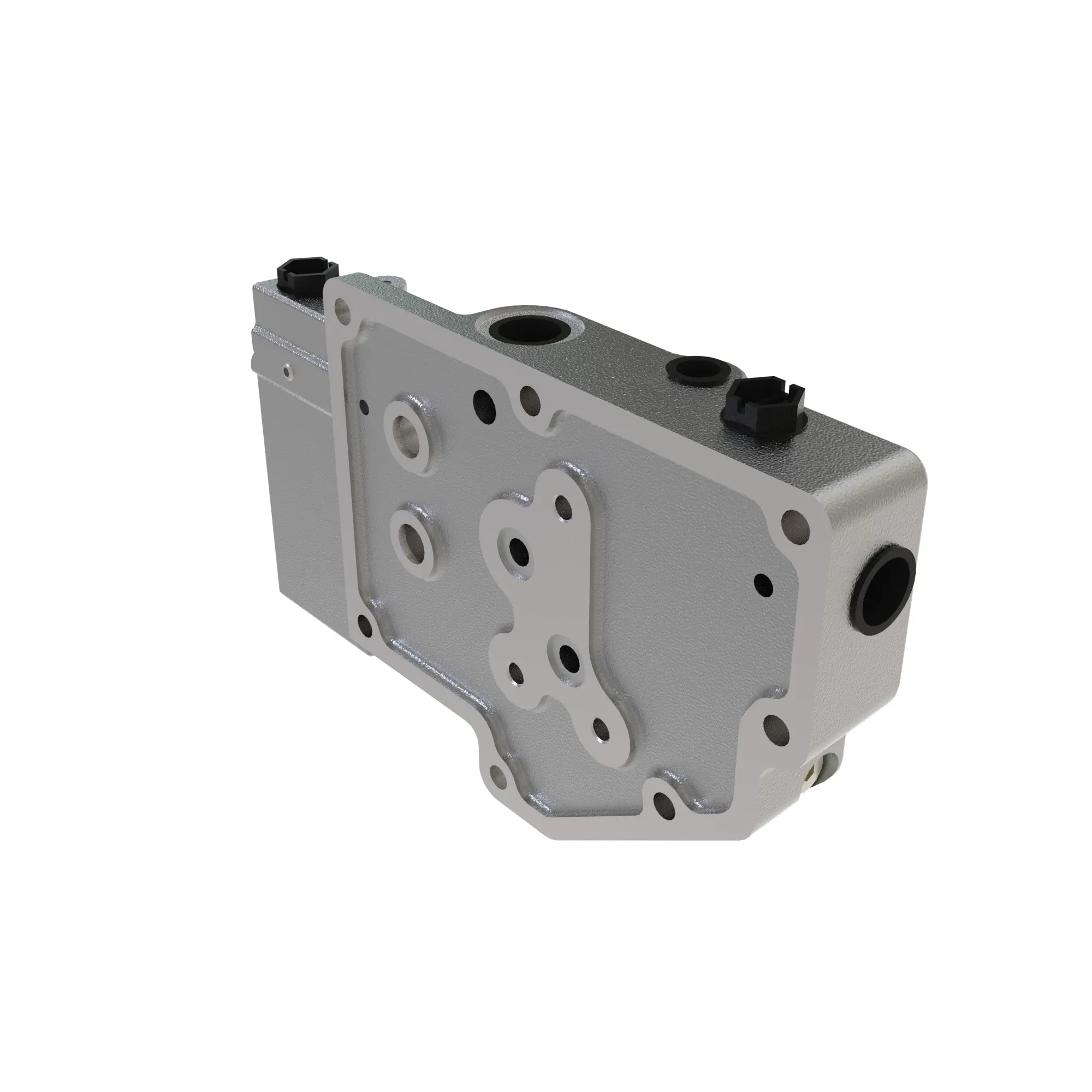 Manifold