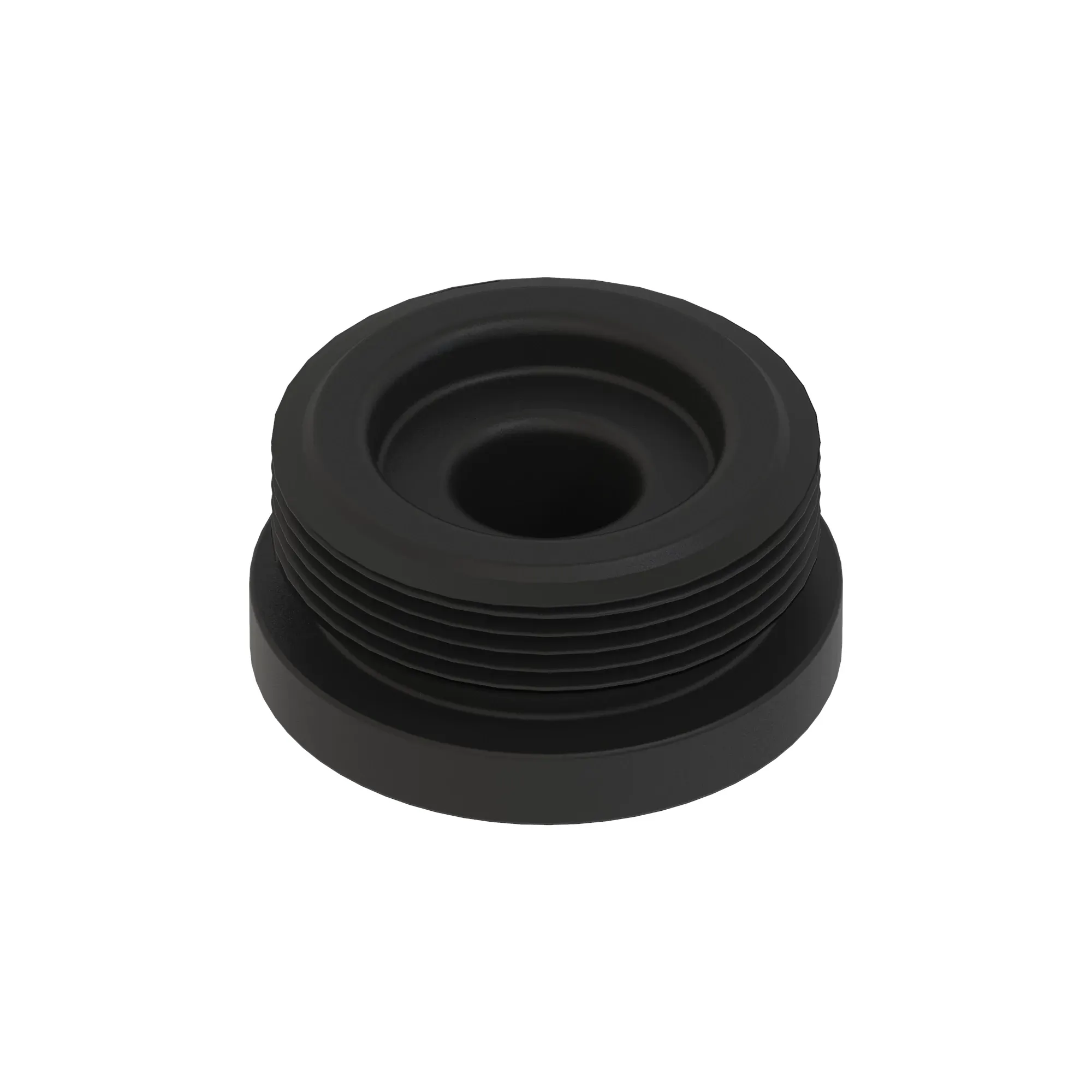 Fitting Plug