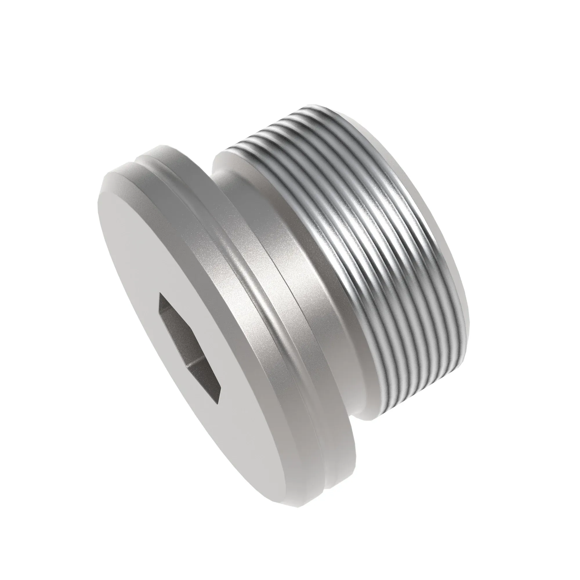 Fitting Plug