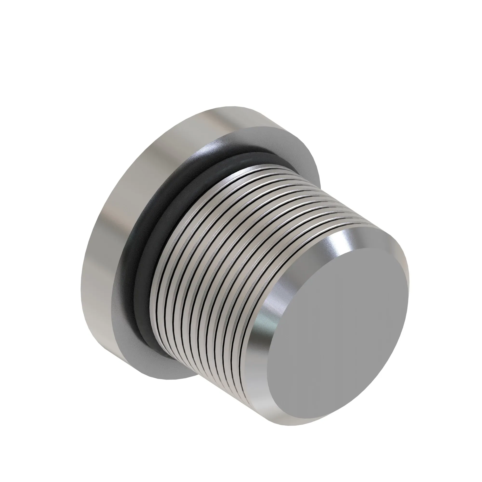 Fitting Plug