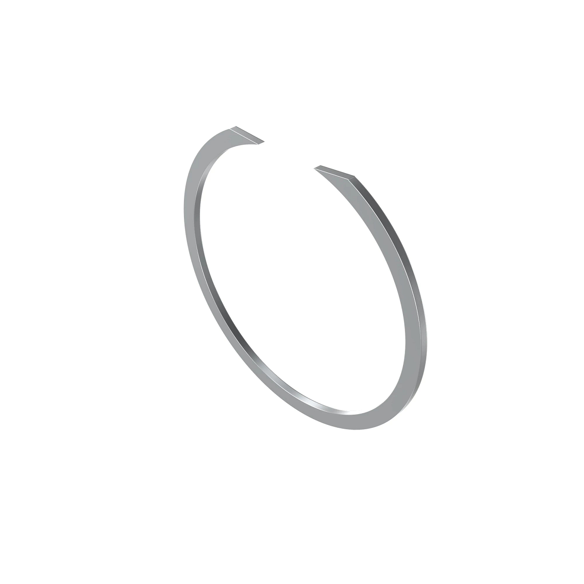 Snap Ring