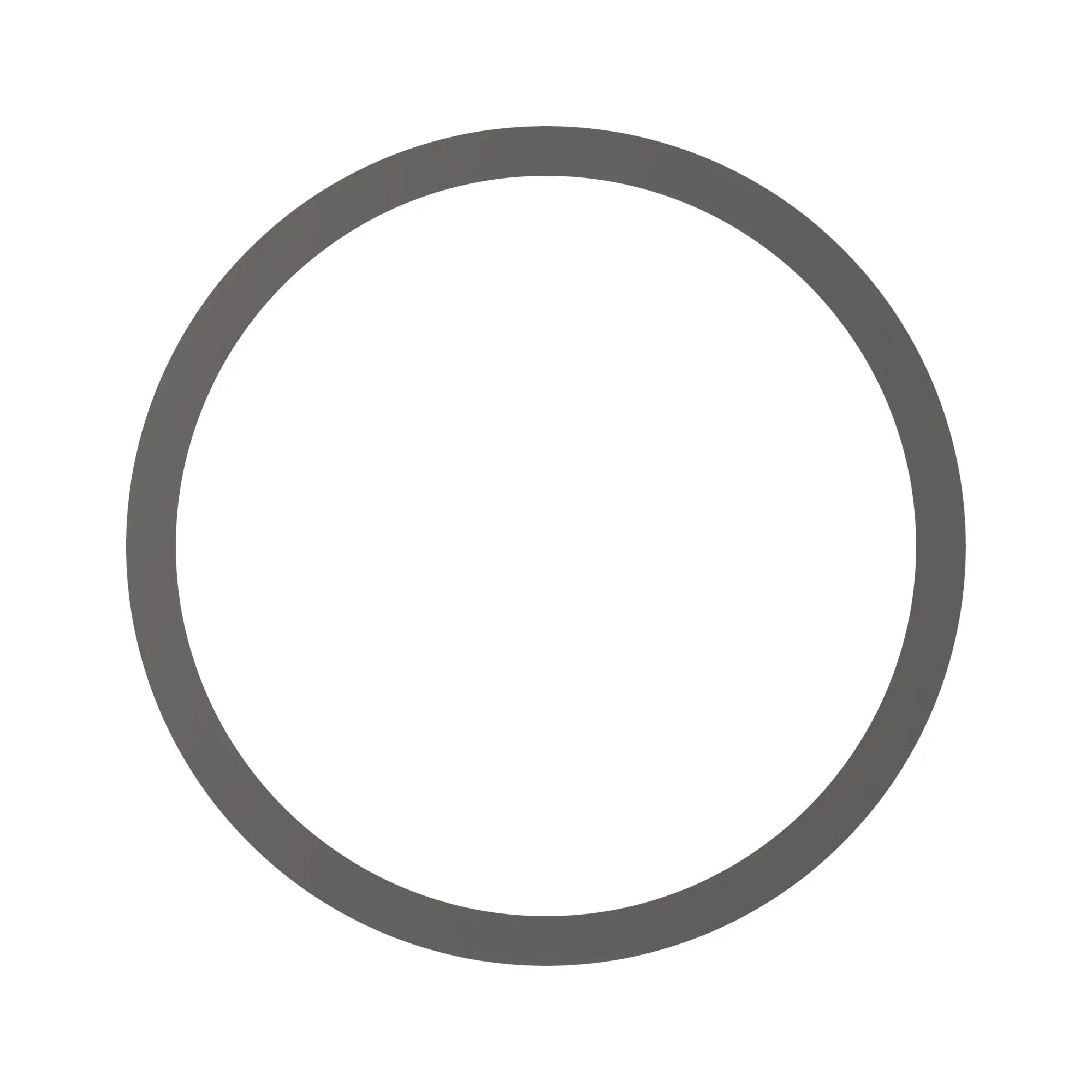 Thrust Washer