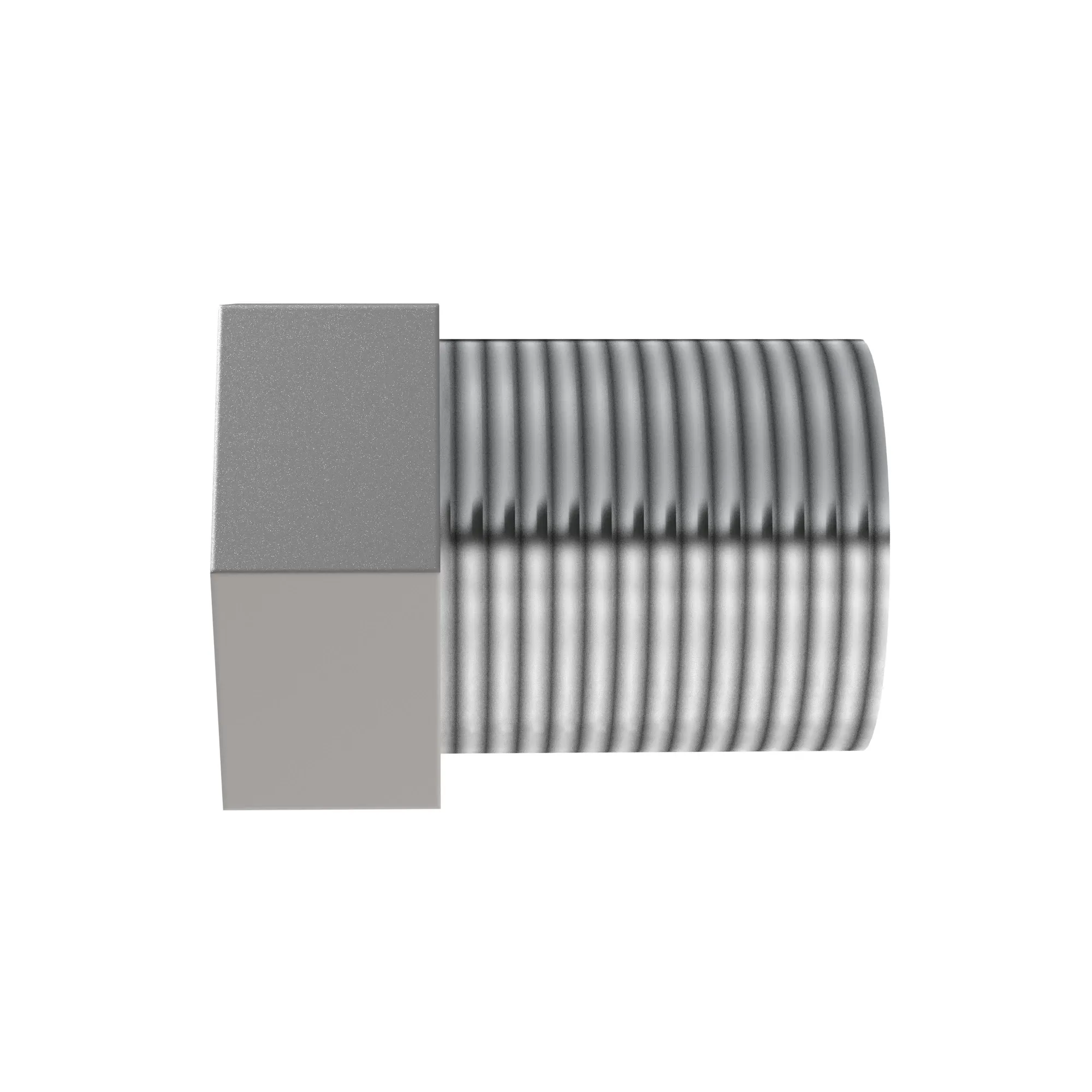 Pipe Plug