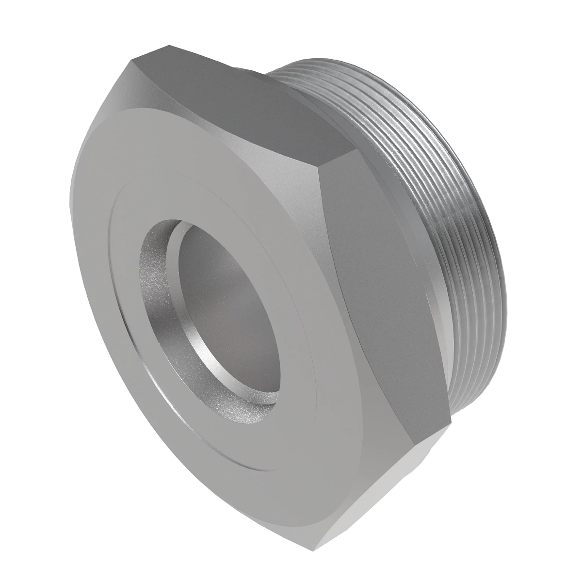 Fitting Plug W SAE Port