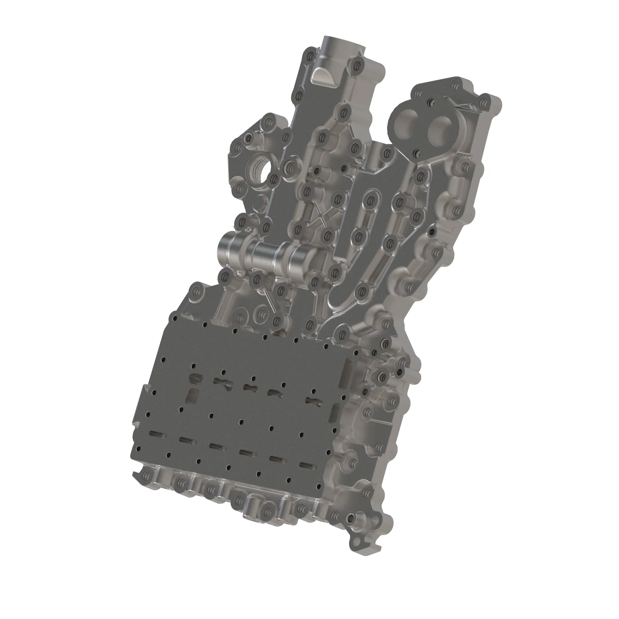 Manifold