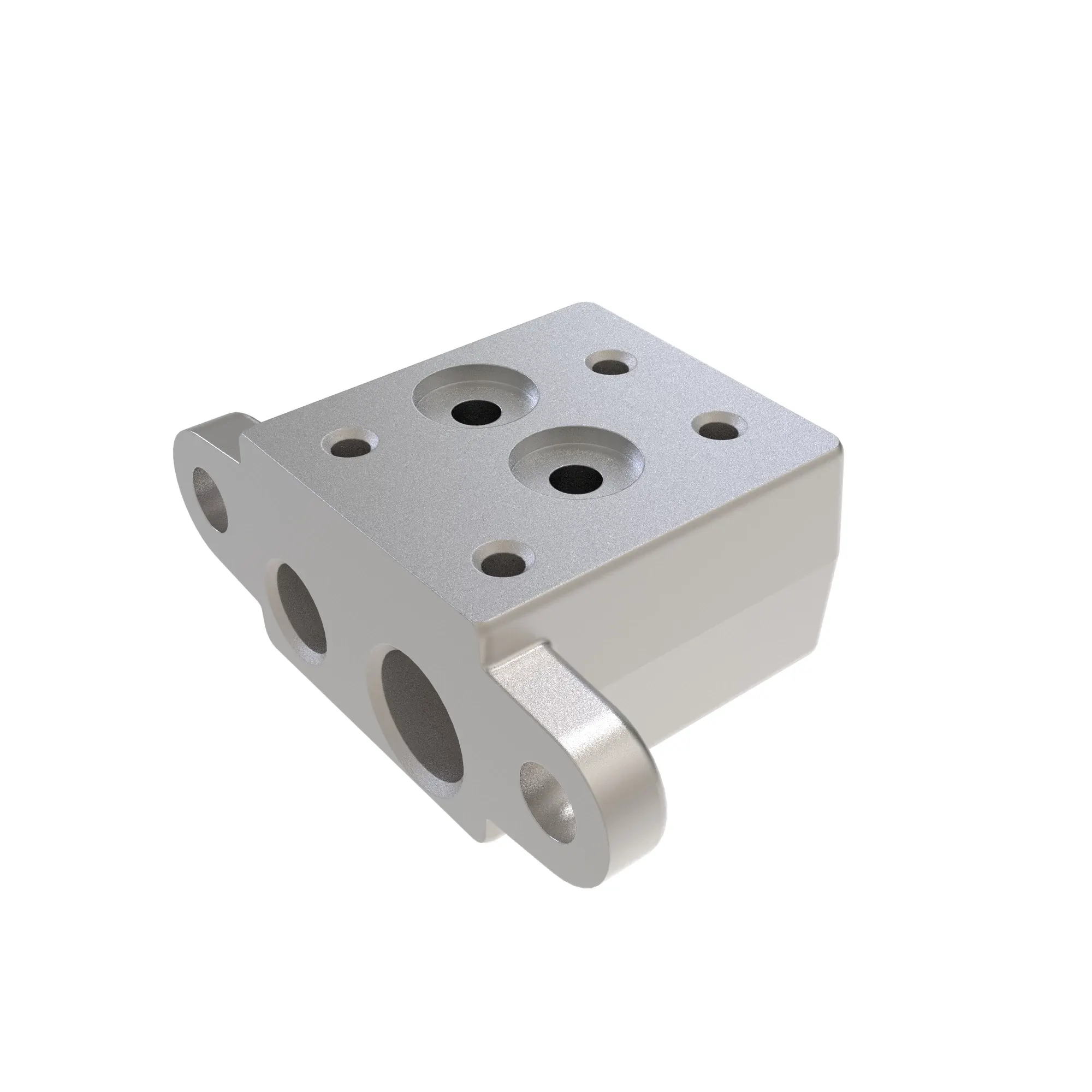 Manifold