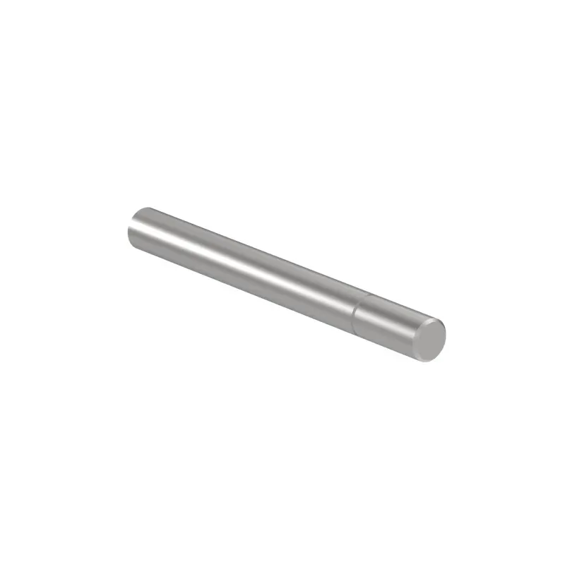 Pin