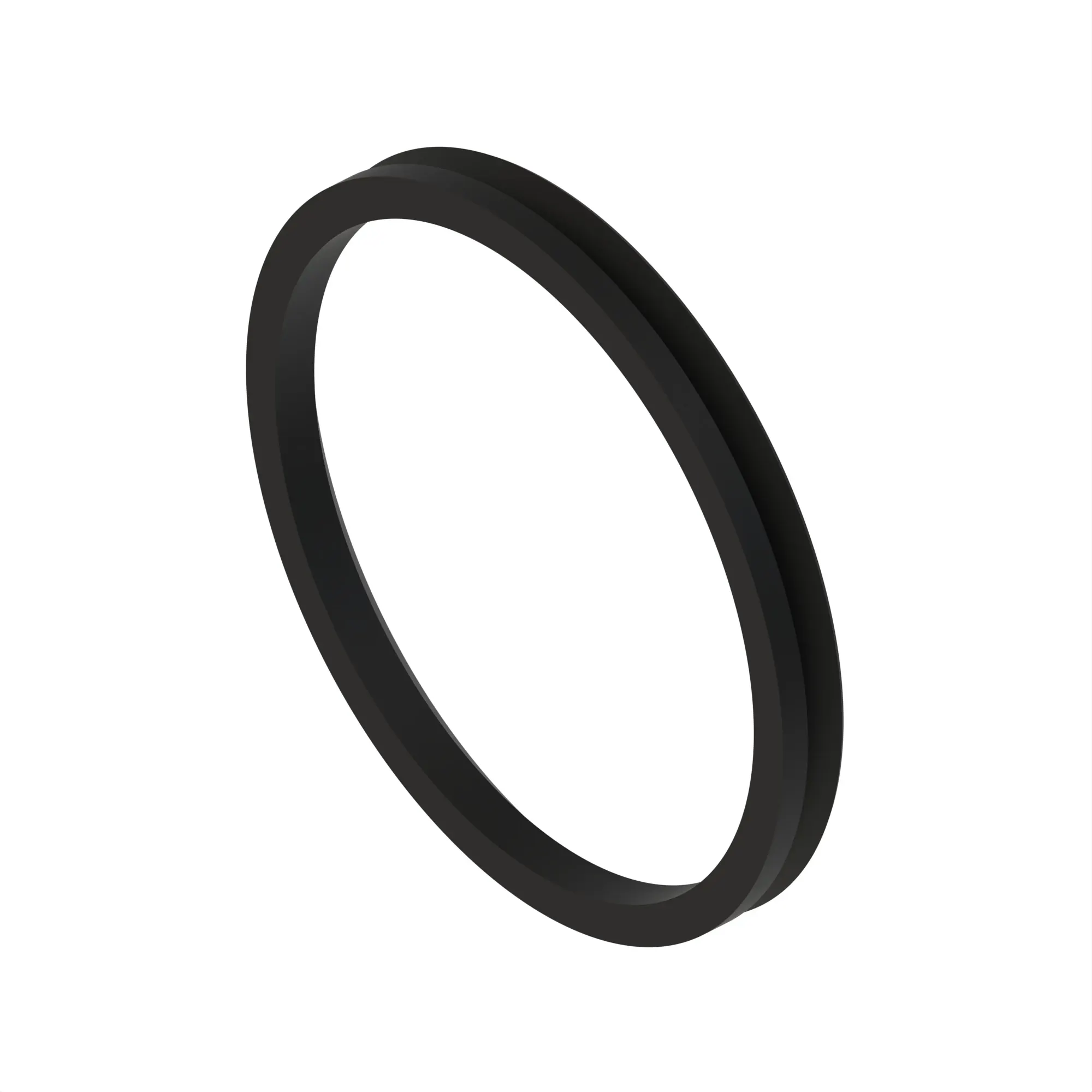 V-Ring Seal