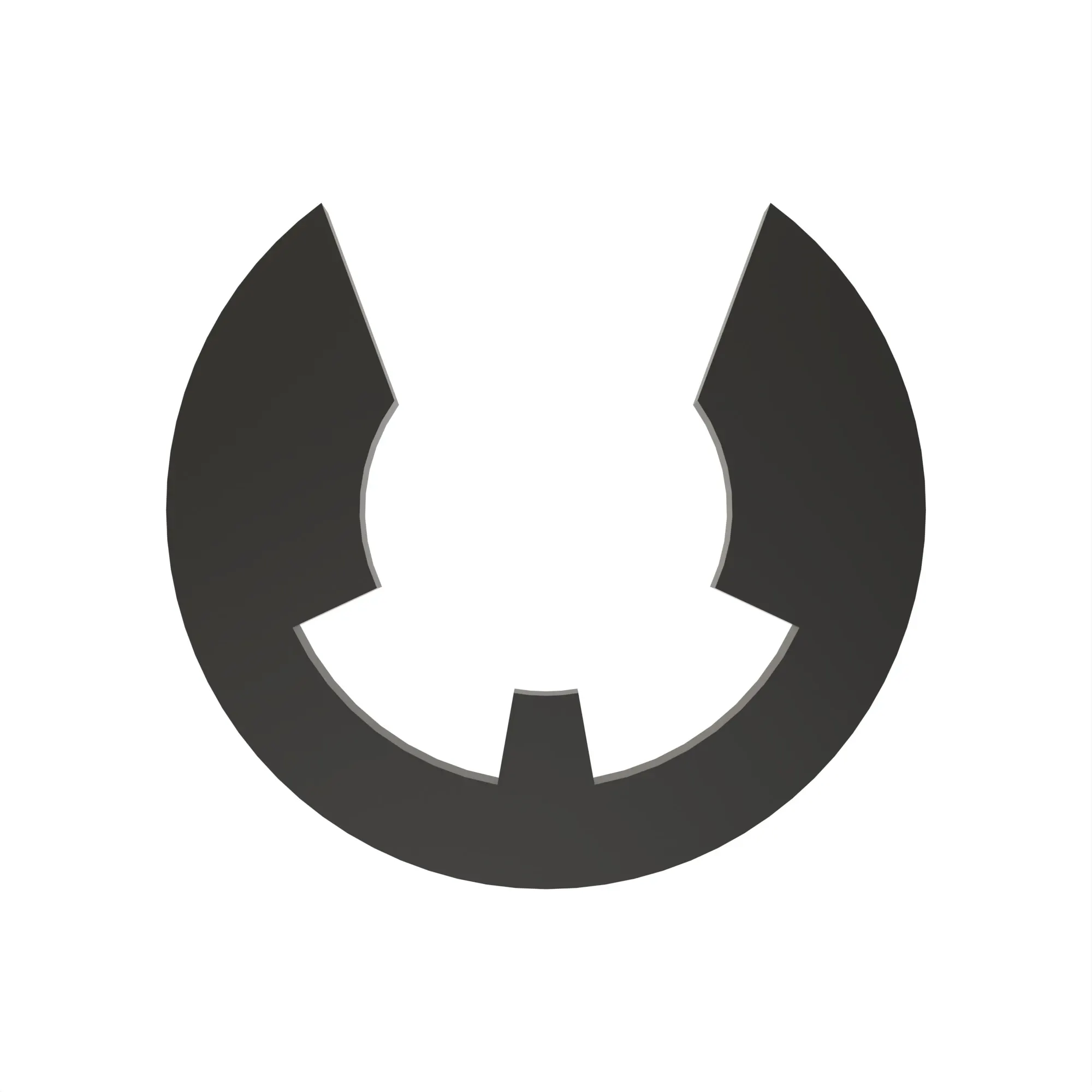 Snap Ring