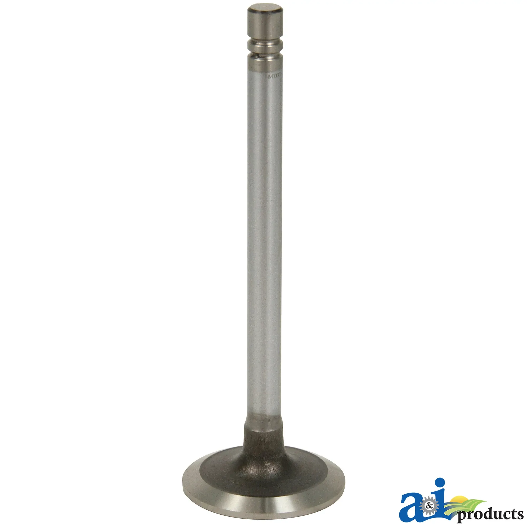 A&I Products Intake Valve - A-M100T
