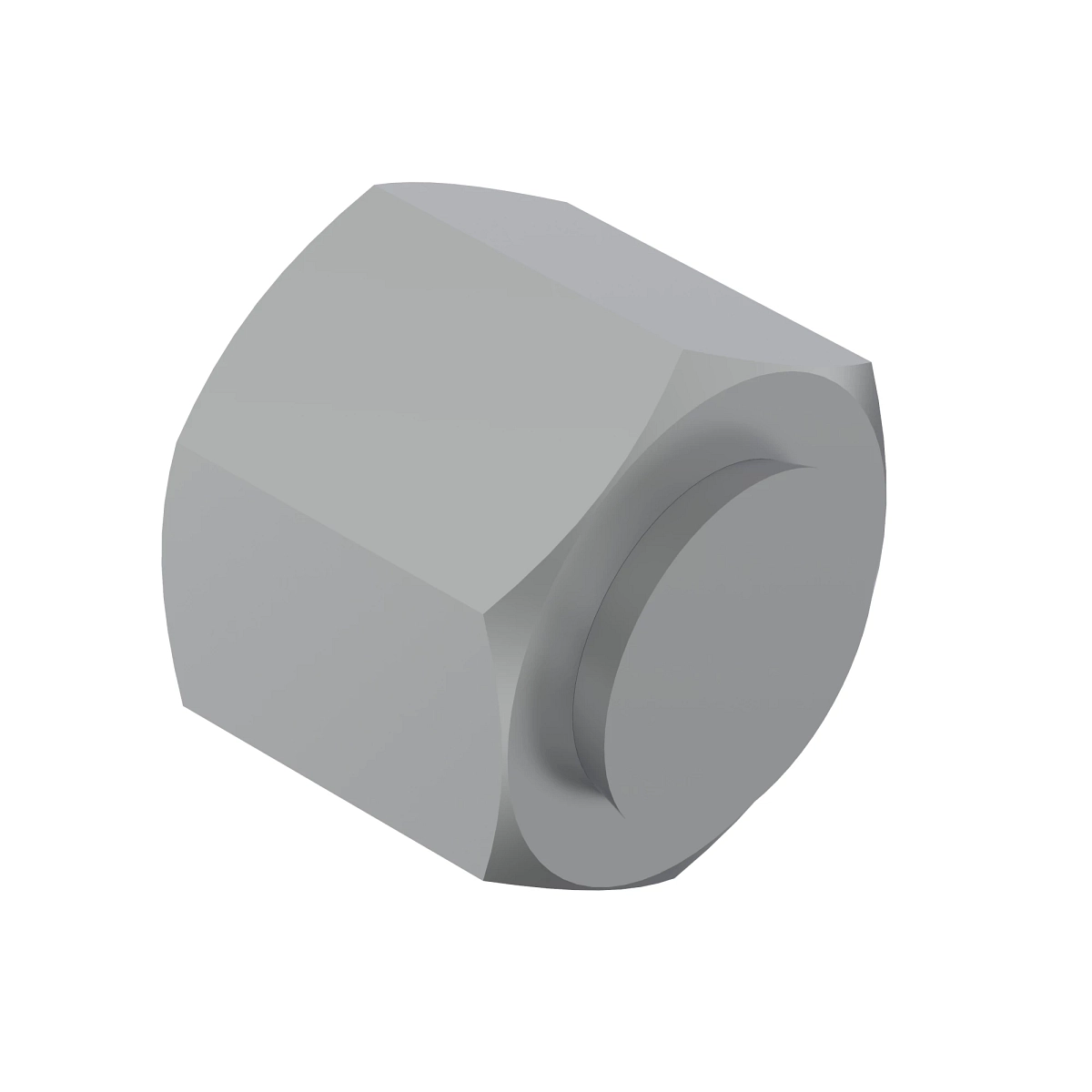 CAP ASSEMBLY, O-RING FSF