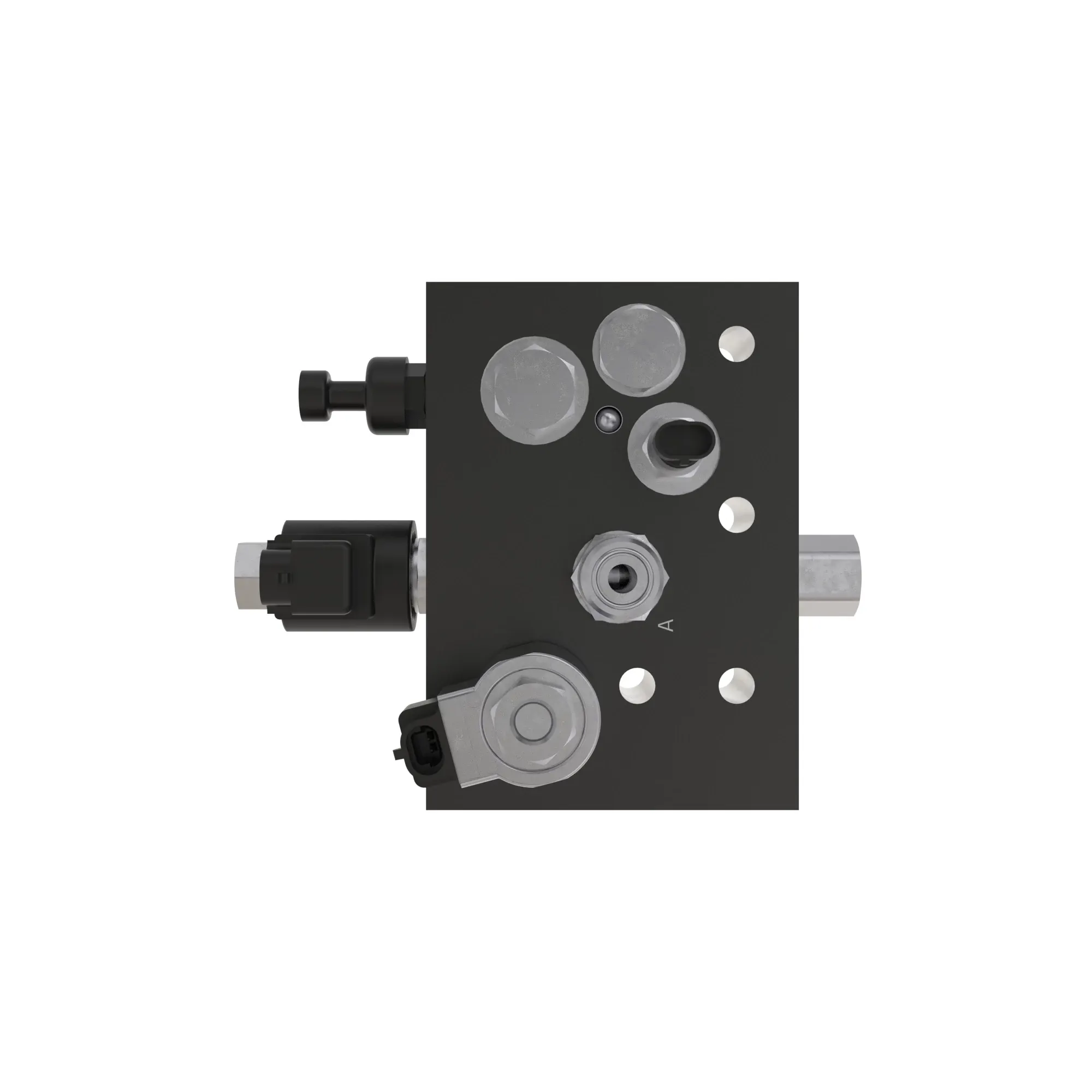 Manifold