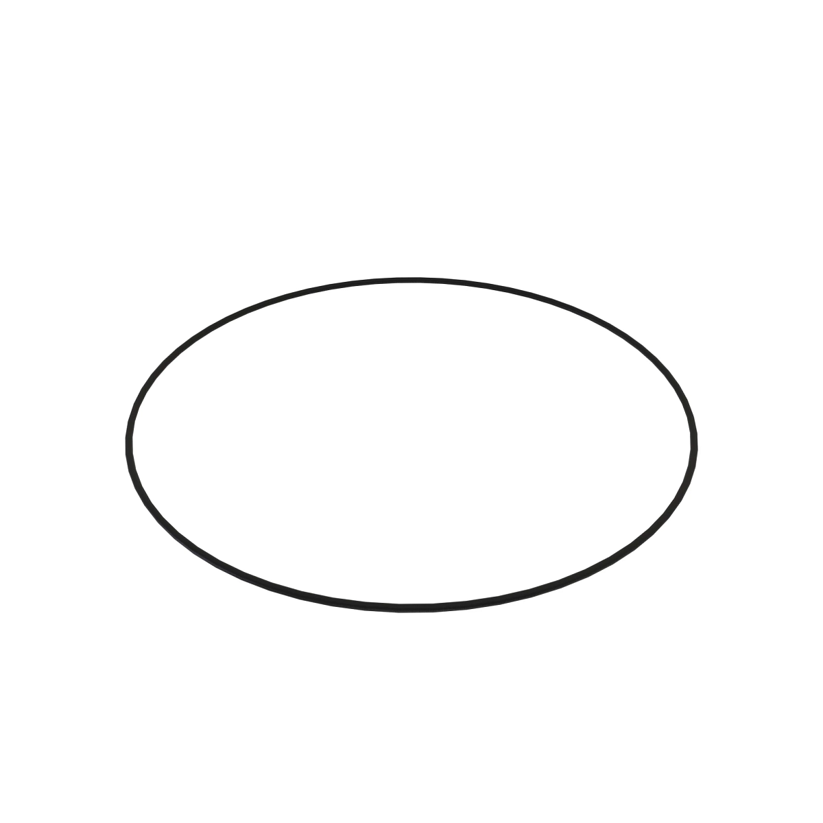 O-Ring