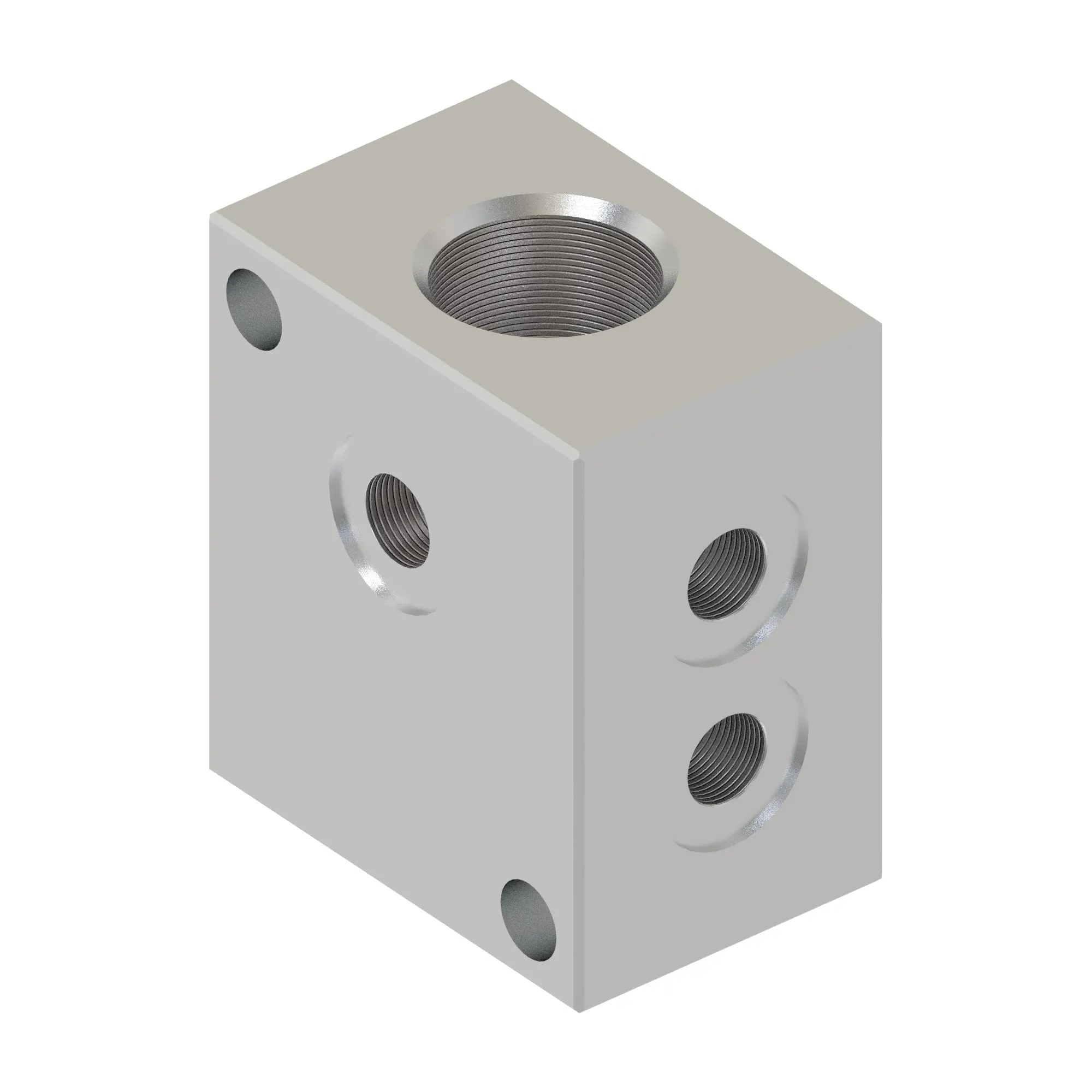 Manifold
