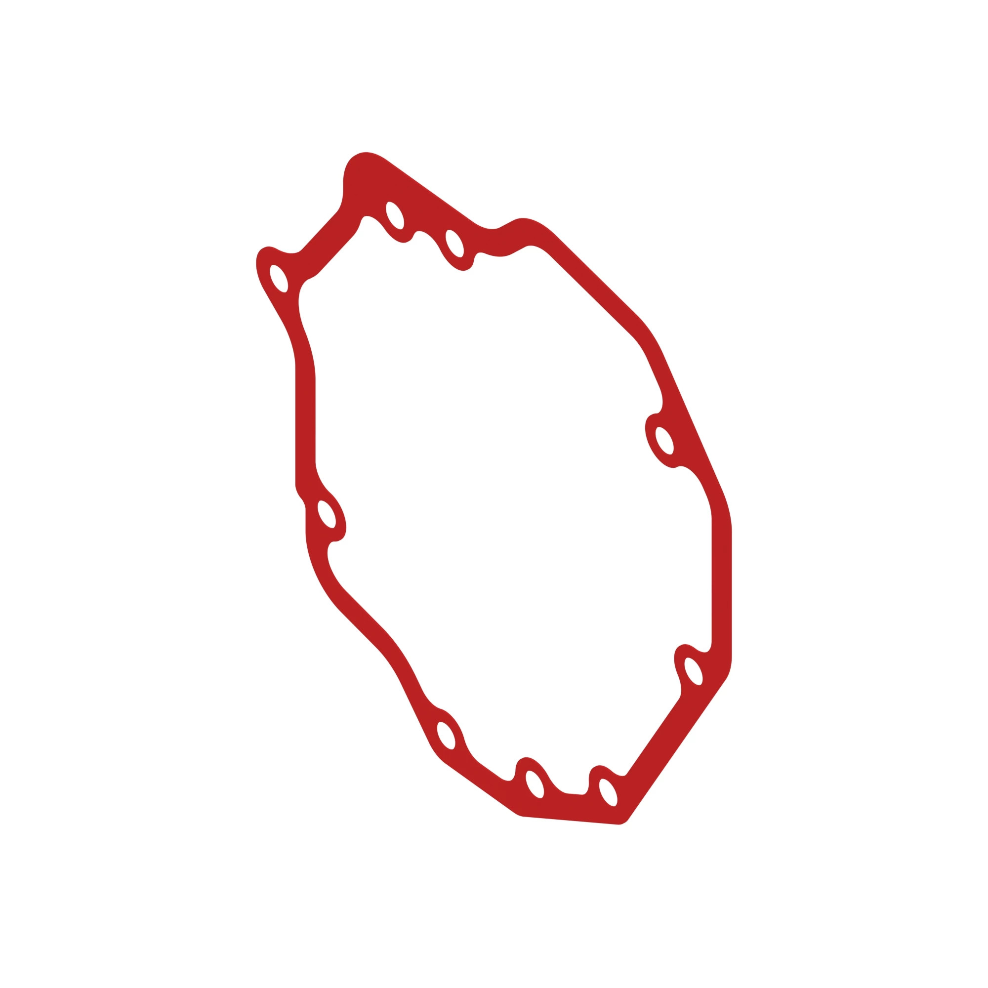 HST GASKET