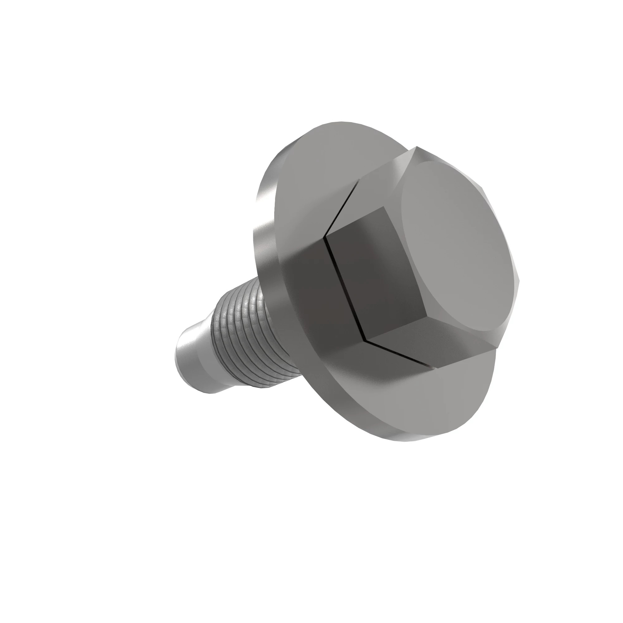 SCREW WITH WASHER