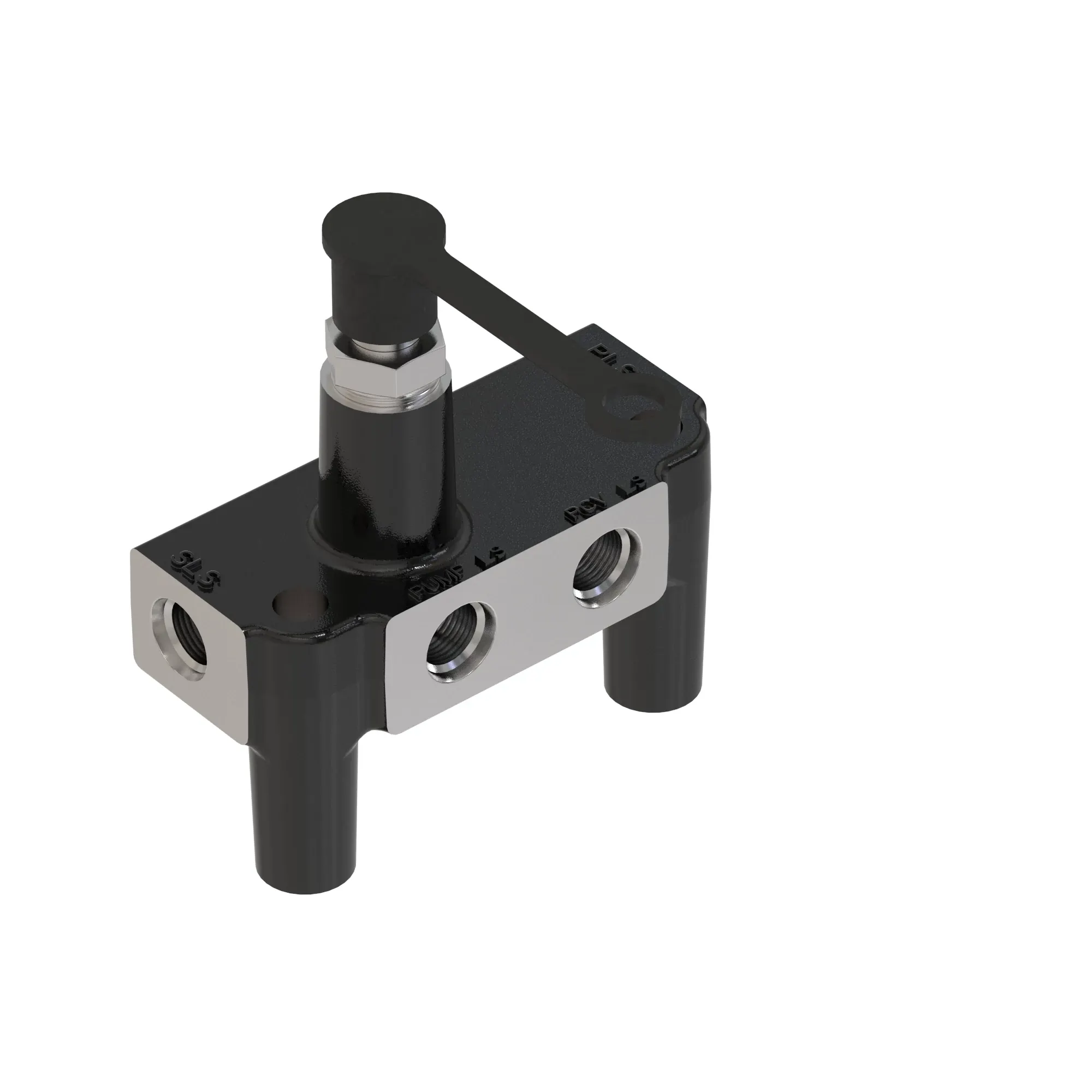 Manifold