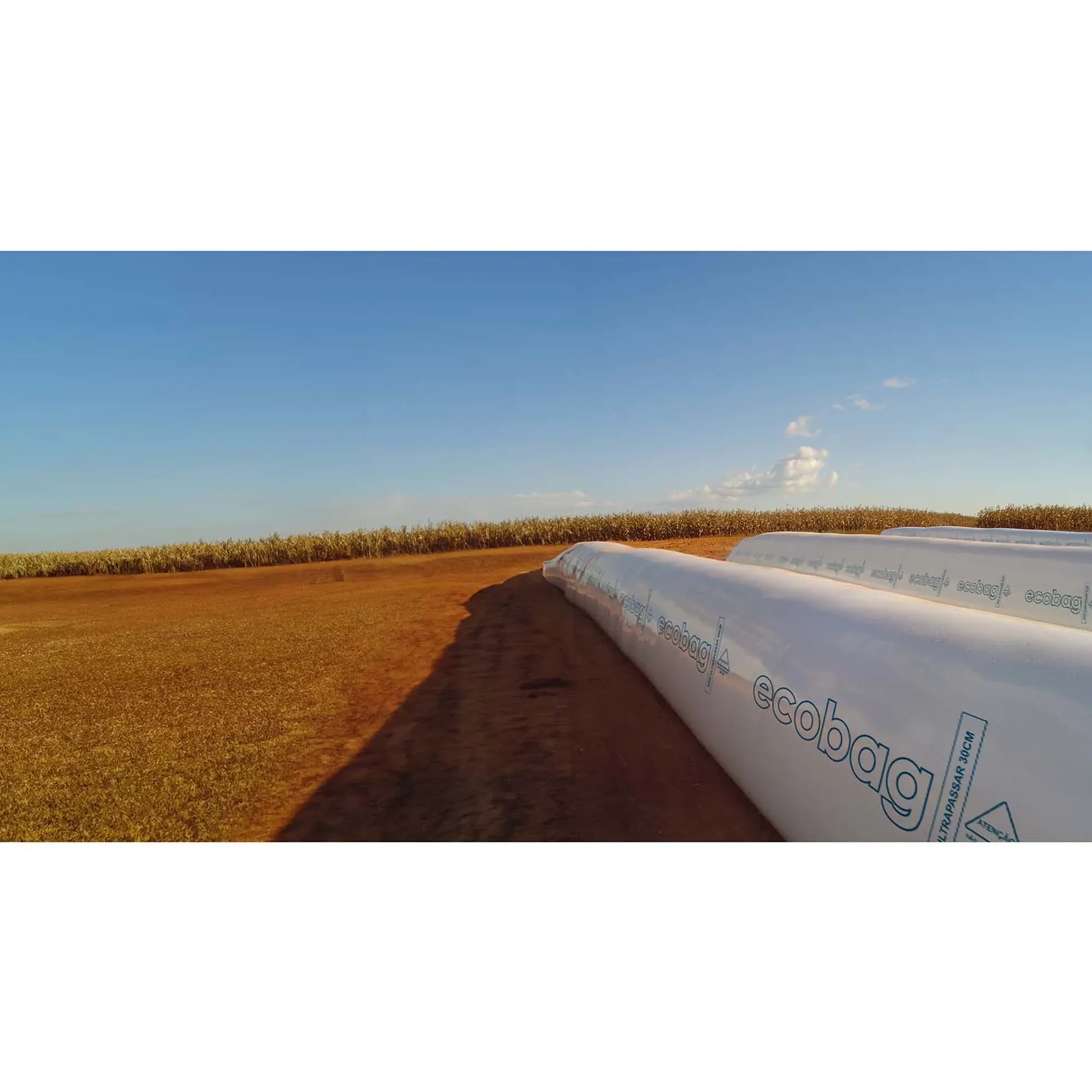 SILO BOLSA 9PES 100M ECOBAG G18