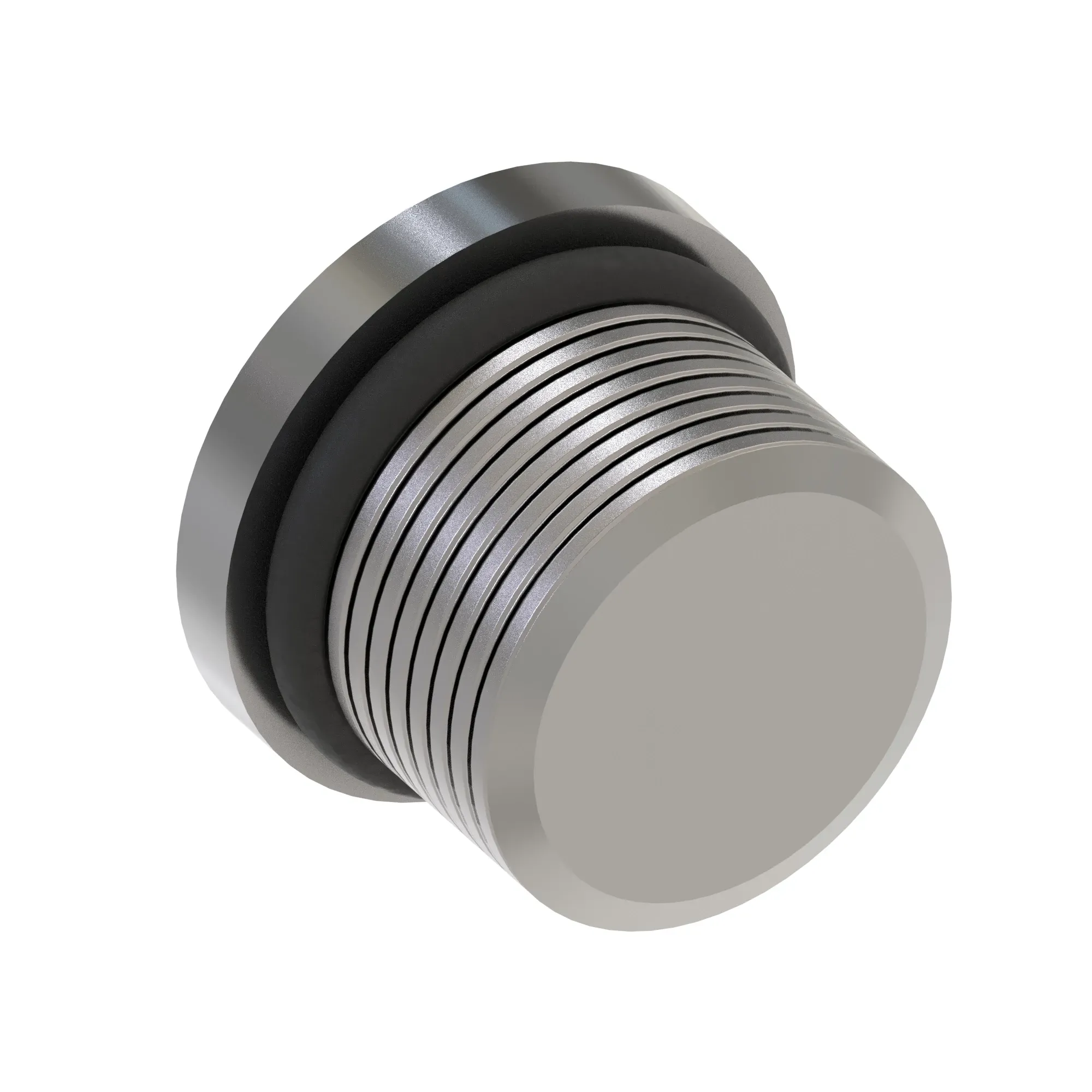 Fitting Plug
