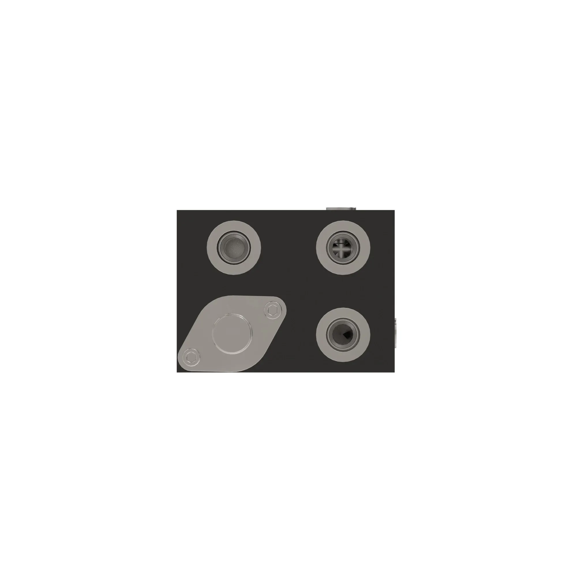 Manifold