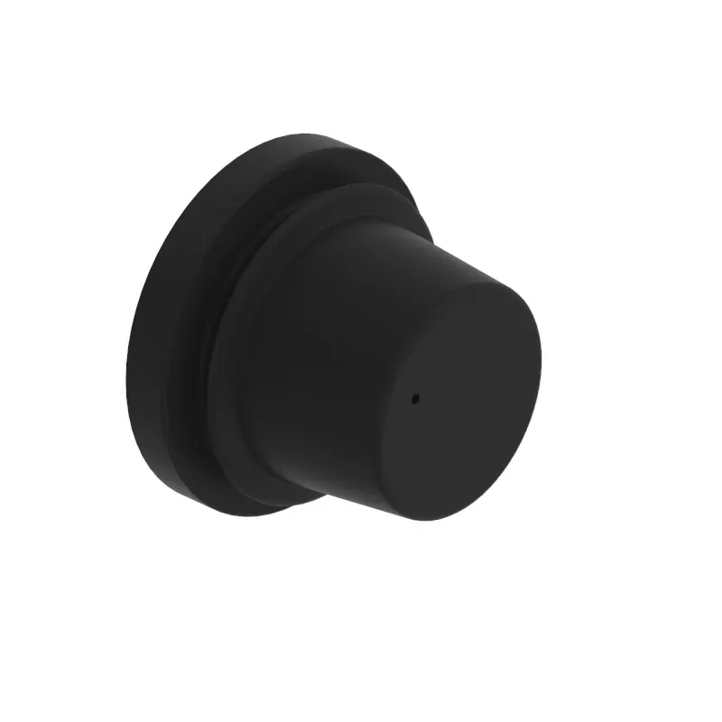 Check Valve