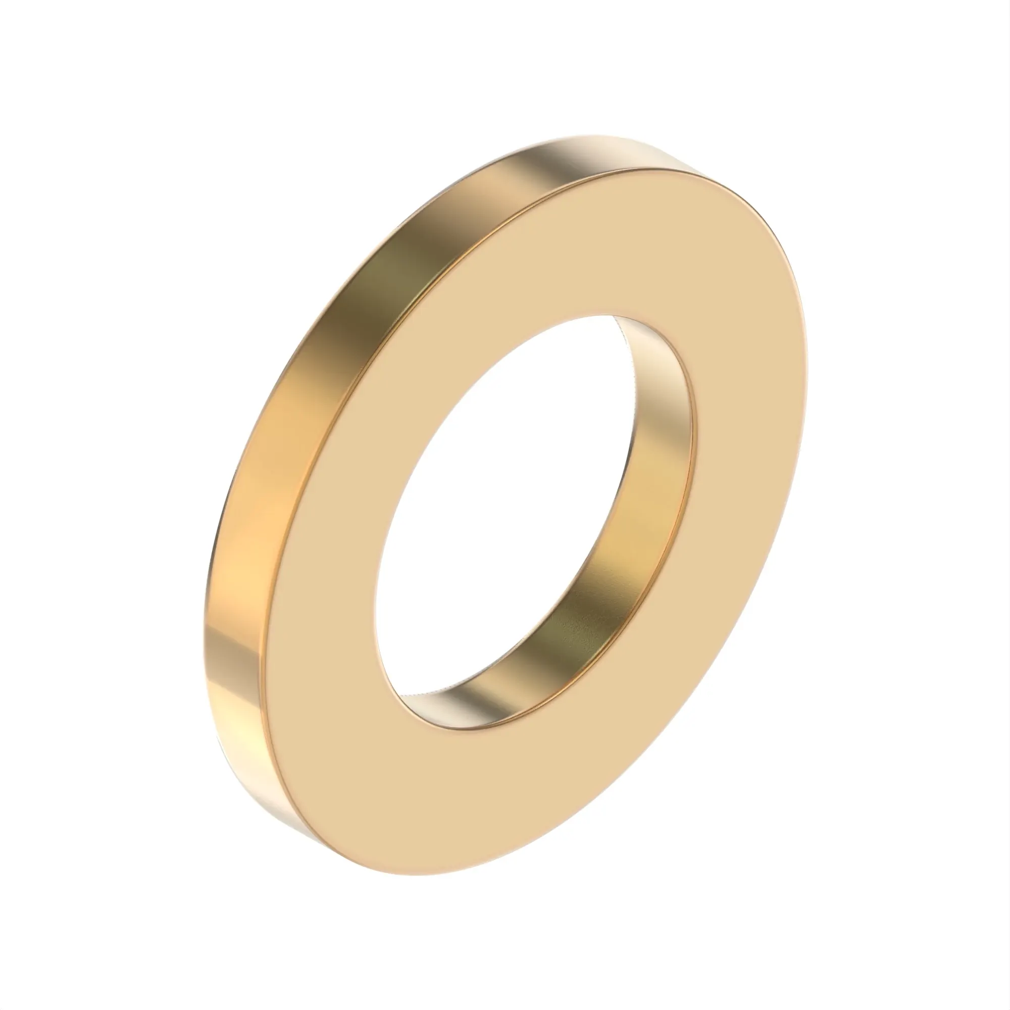 Sealing Ring