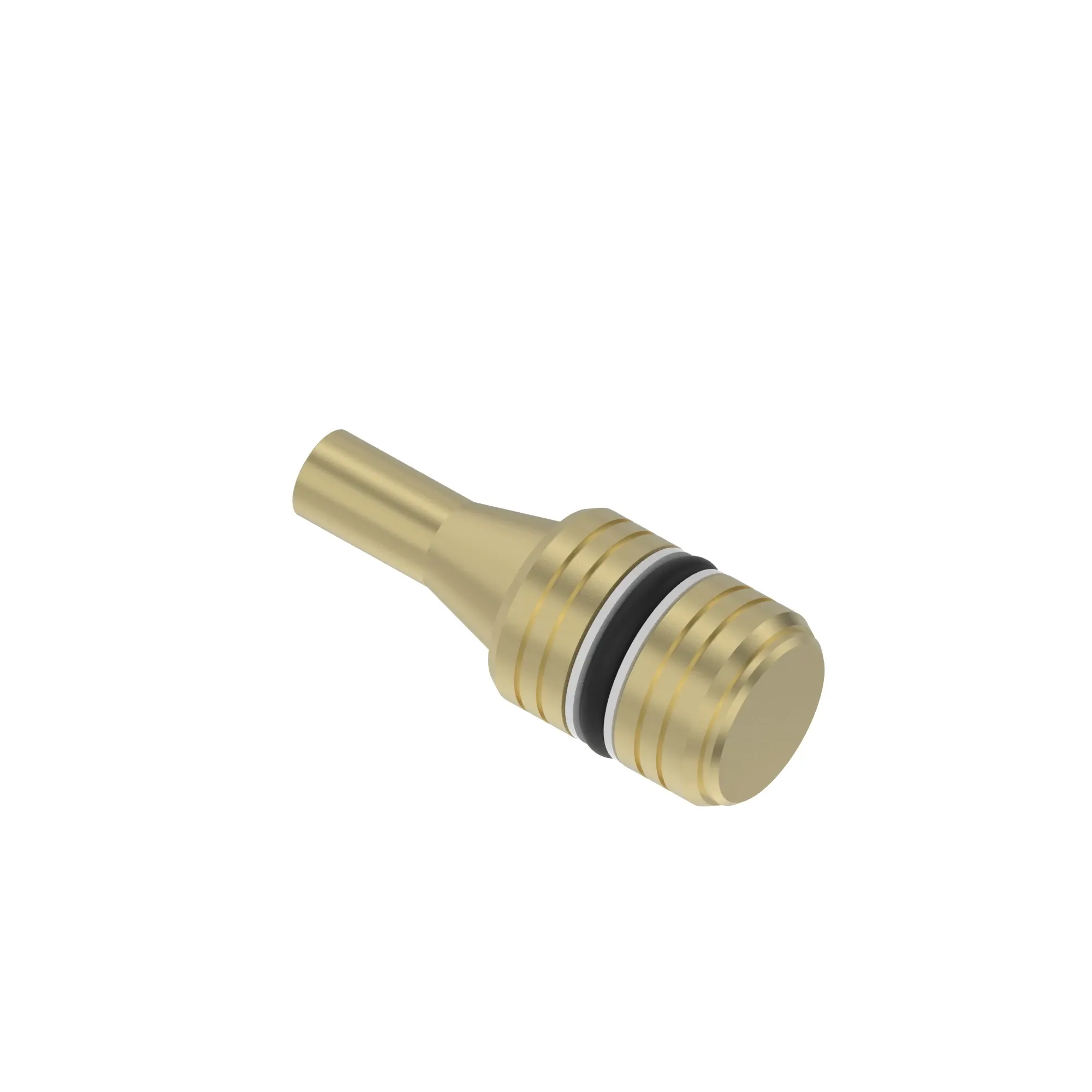 checkvalve