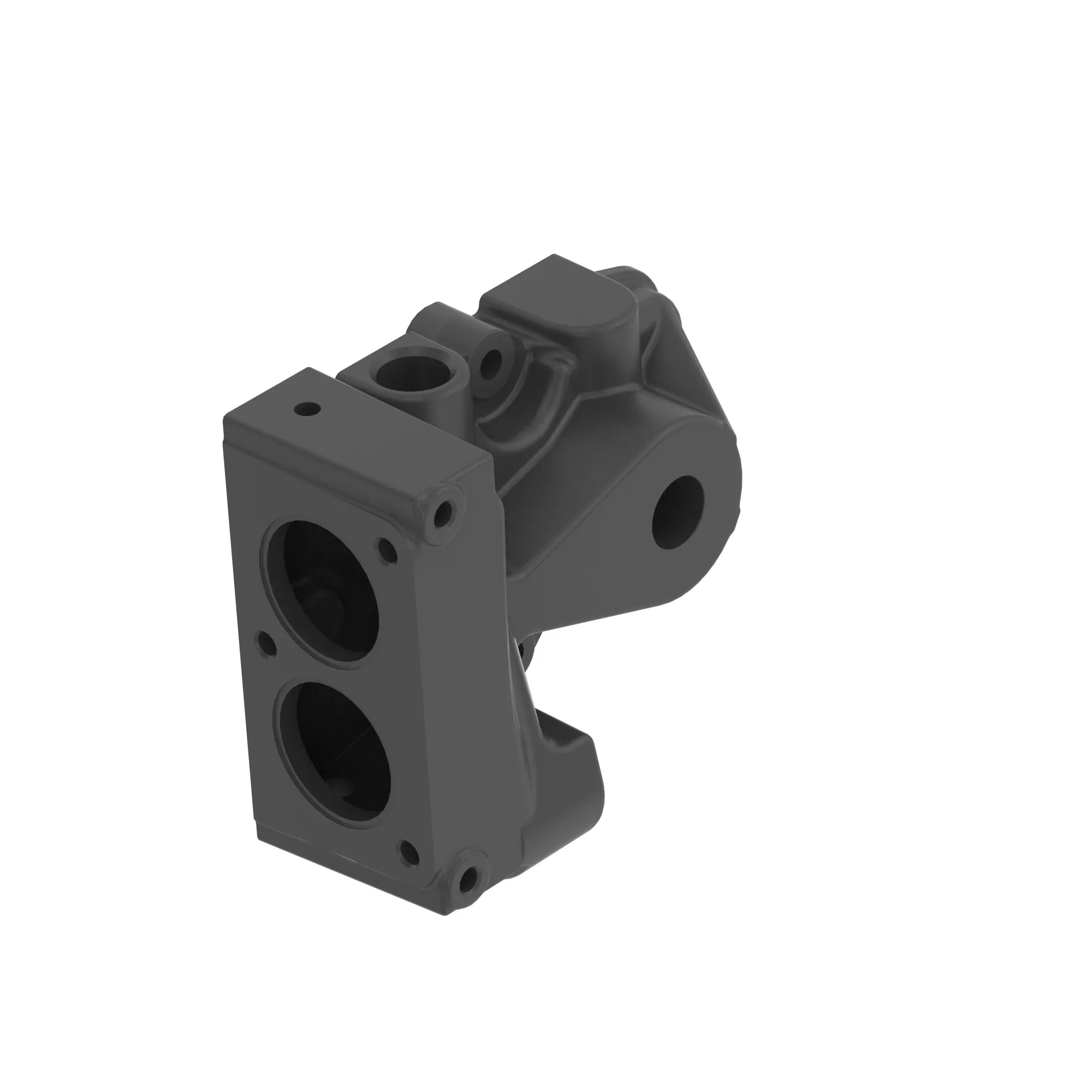 Manifold
