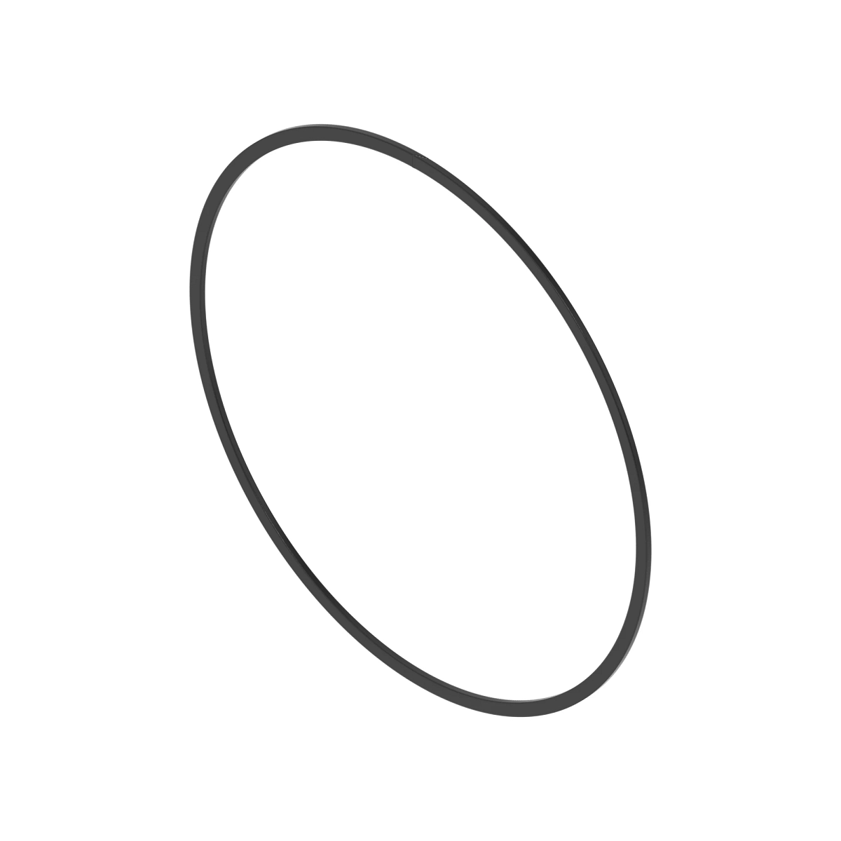 Backup Ring
