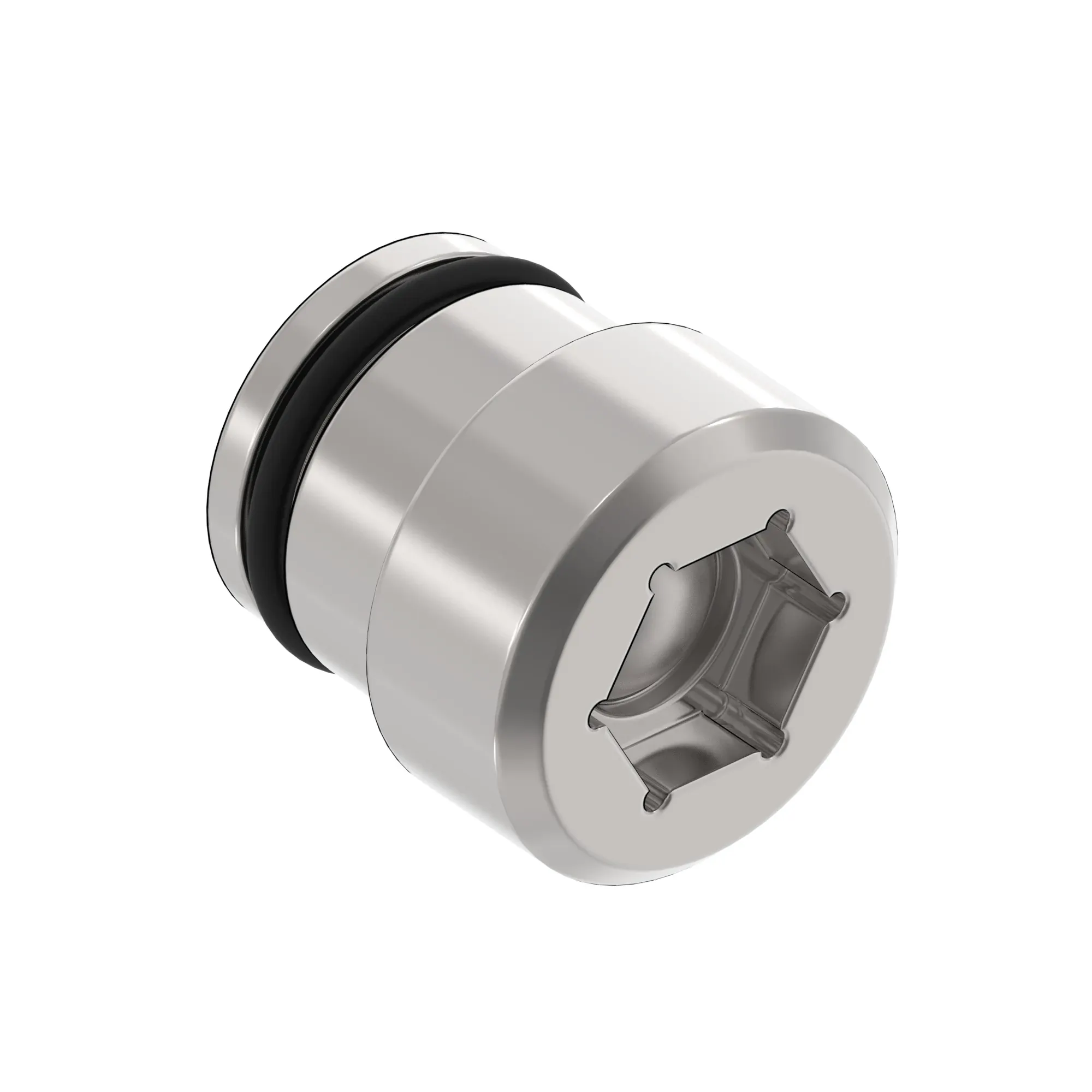 Check Valve