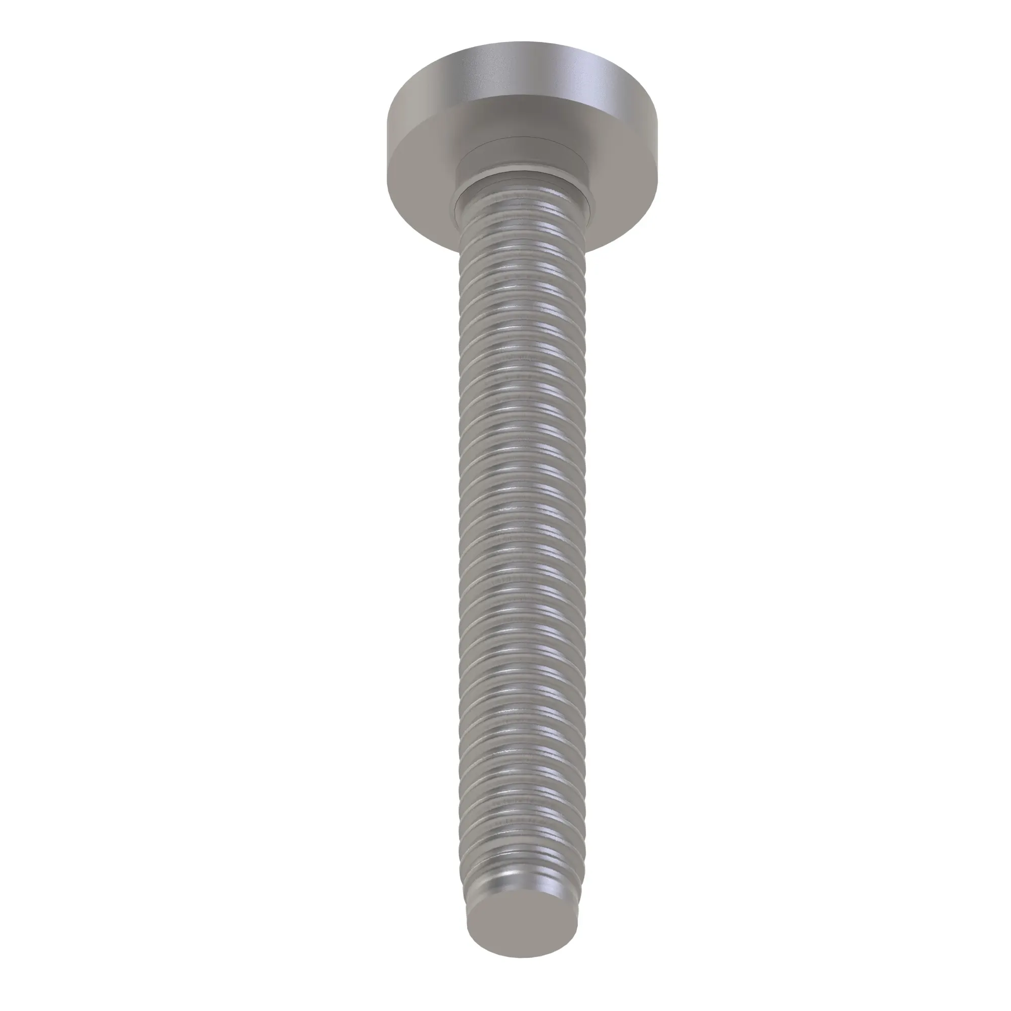 Screw