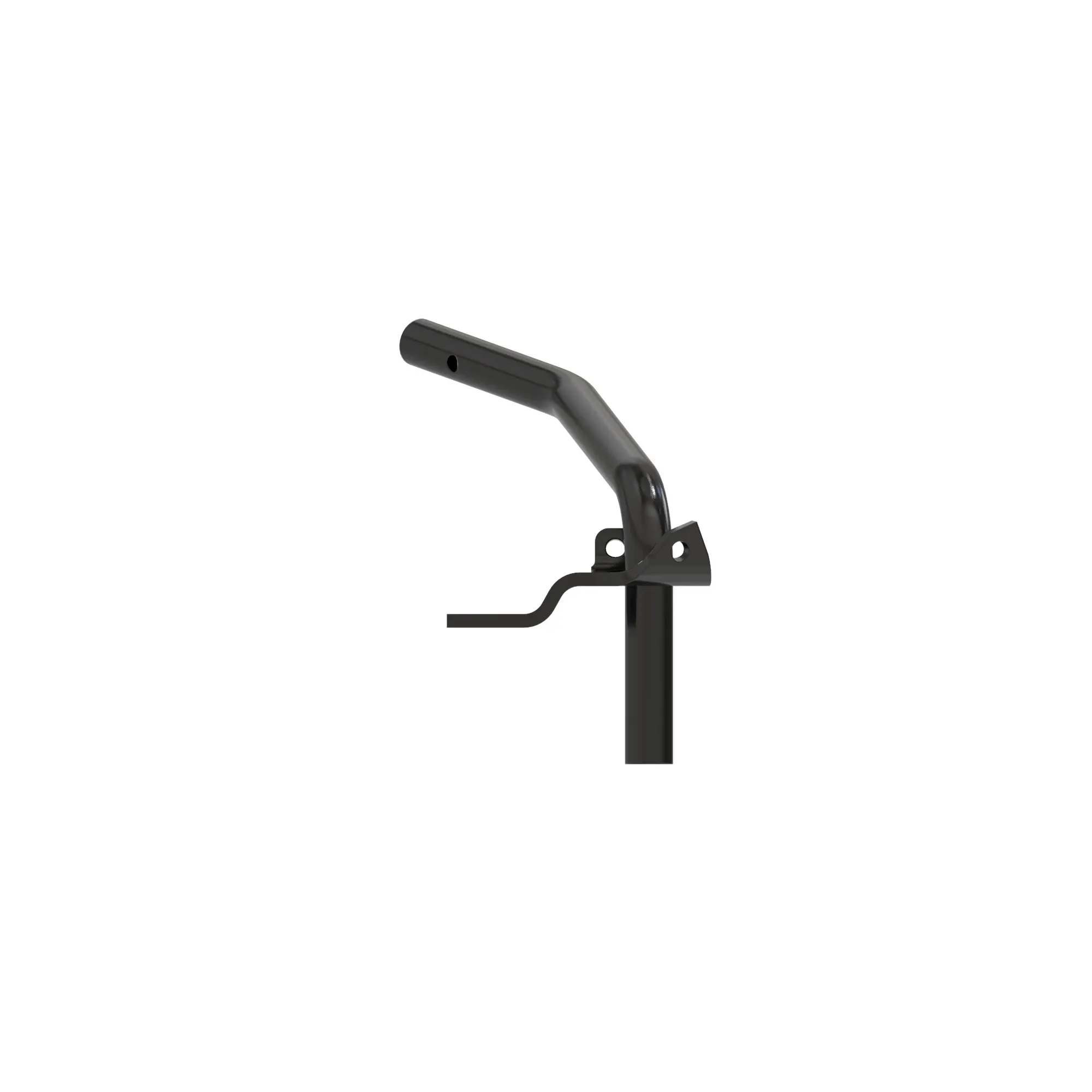 Arm