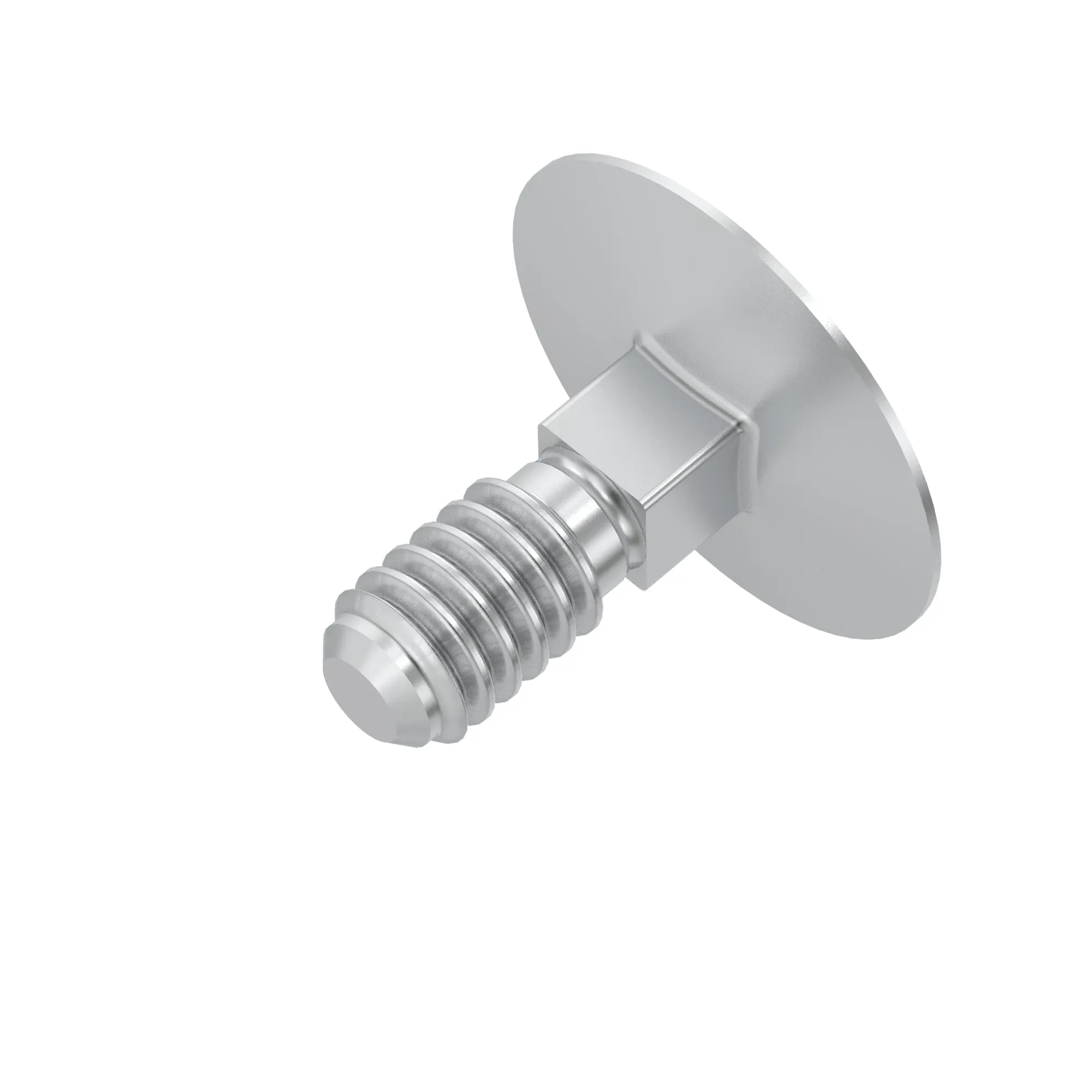 bolt