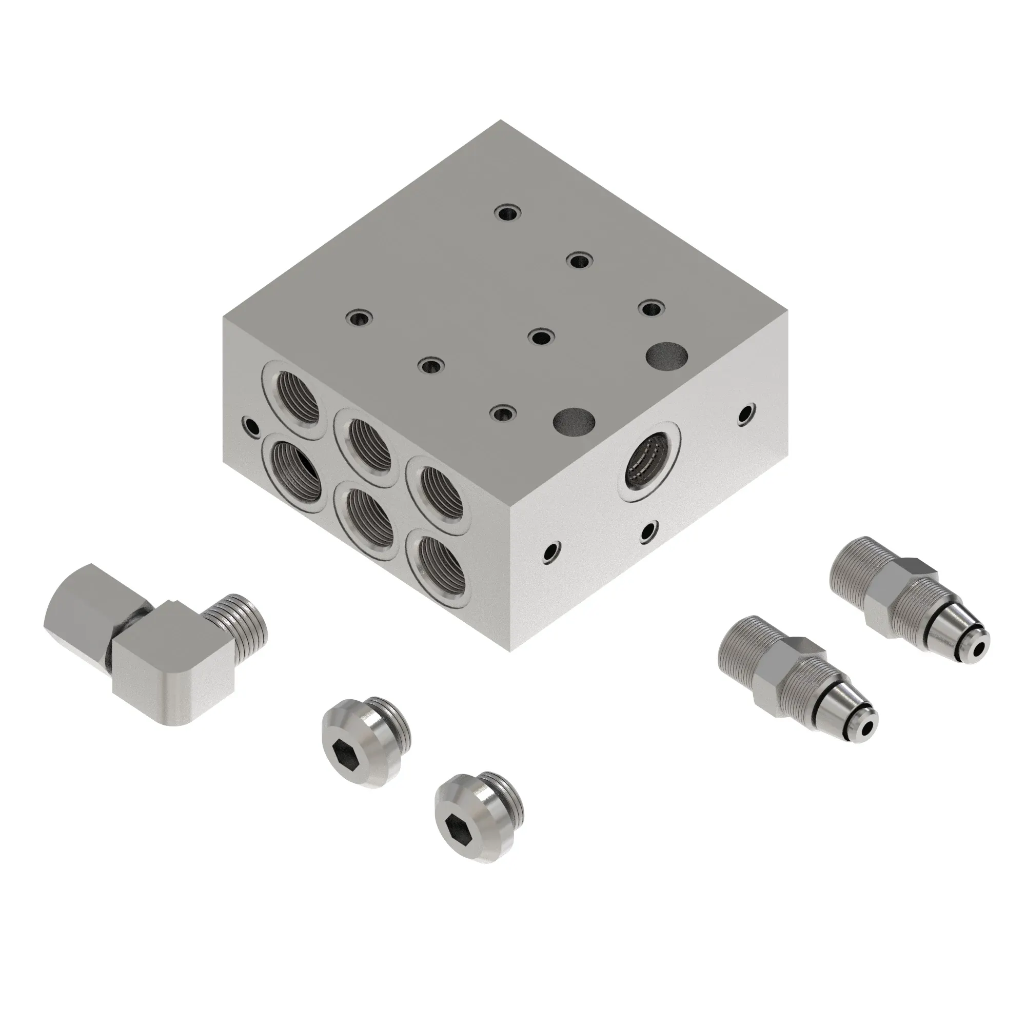Manifold Kit