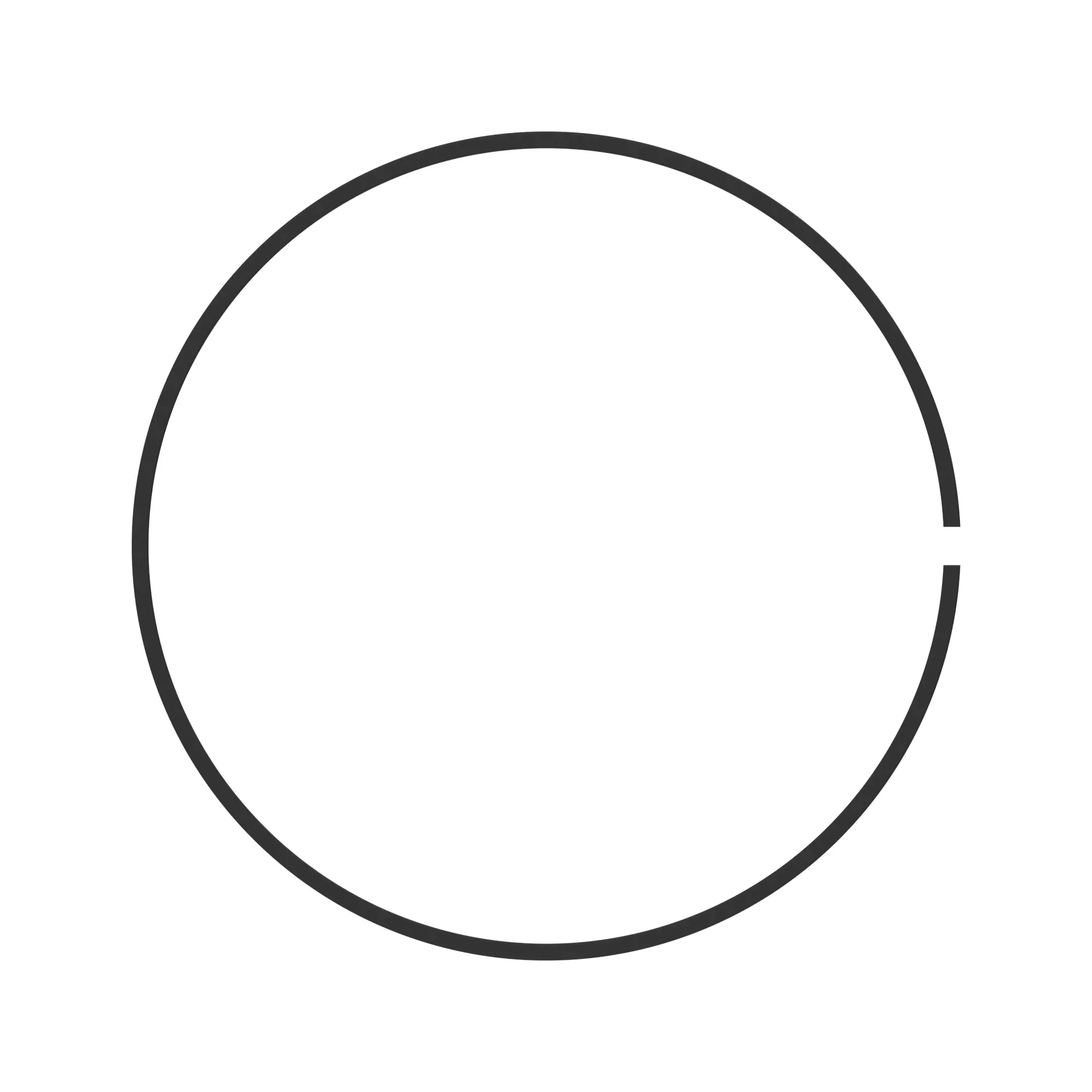 Wear Ring
