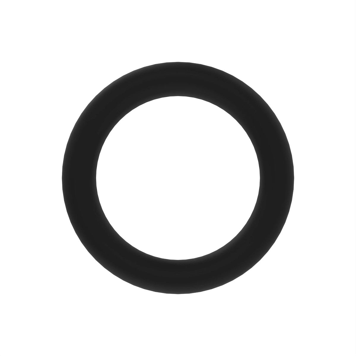 O-Ring