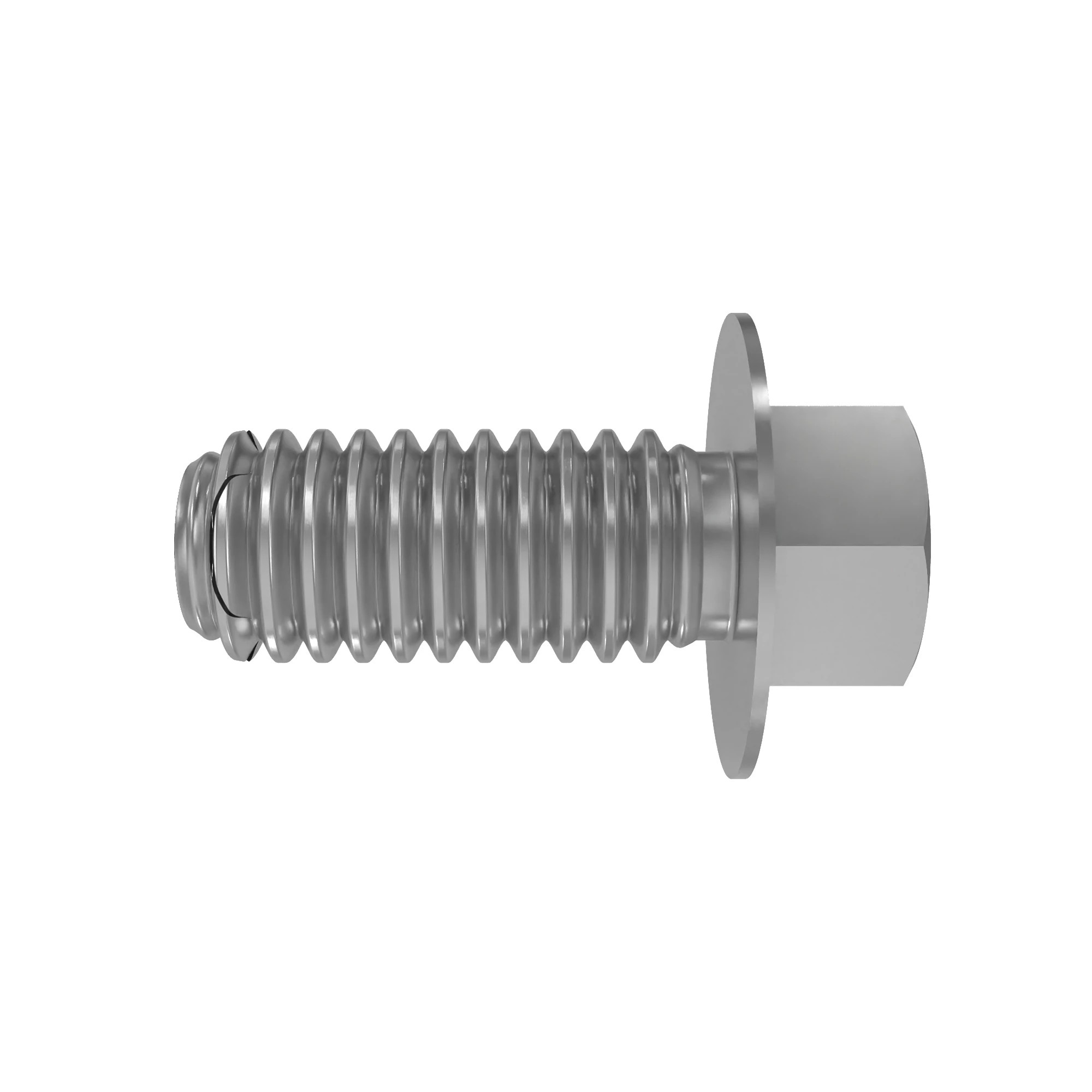 Screw With Washer