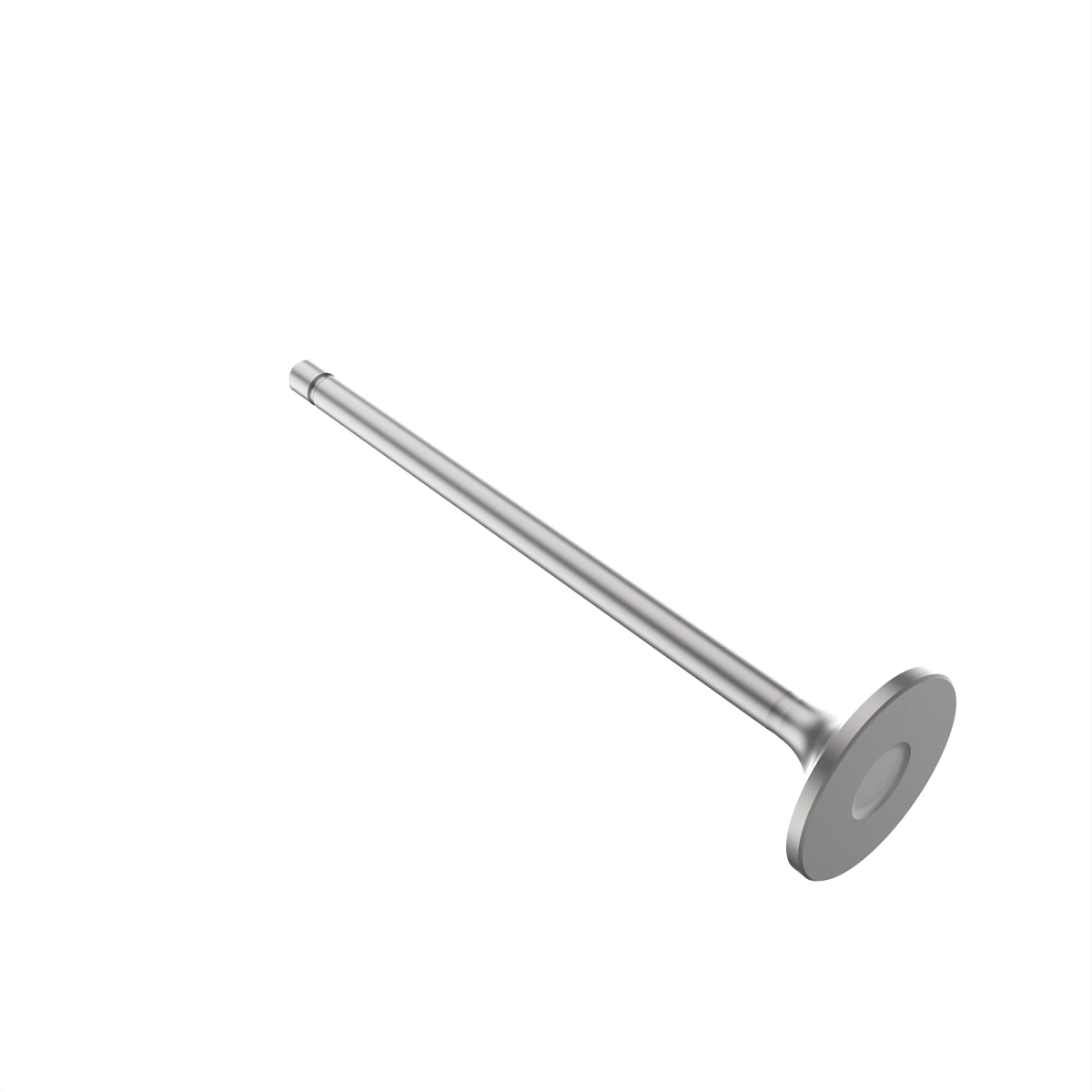 INTAKE VALVE