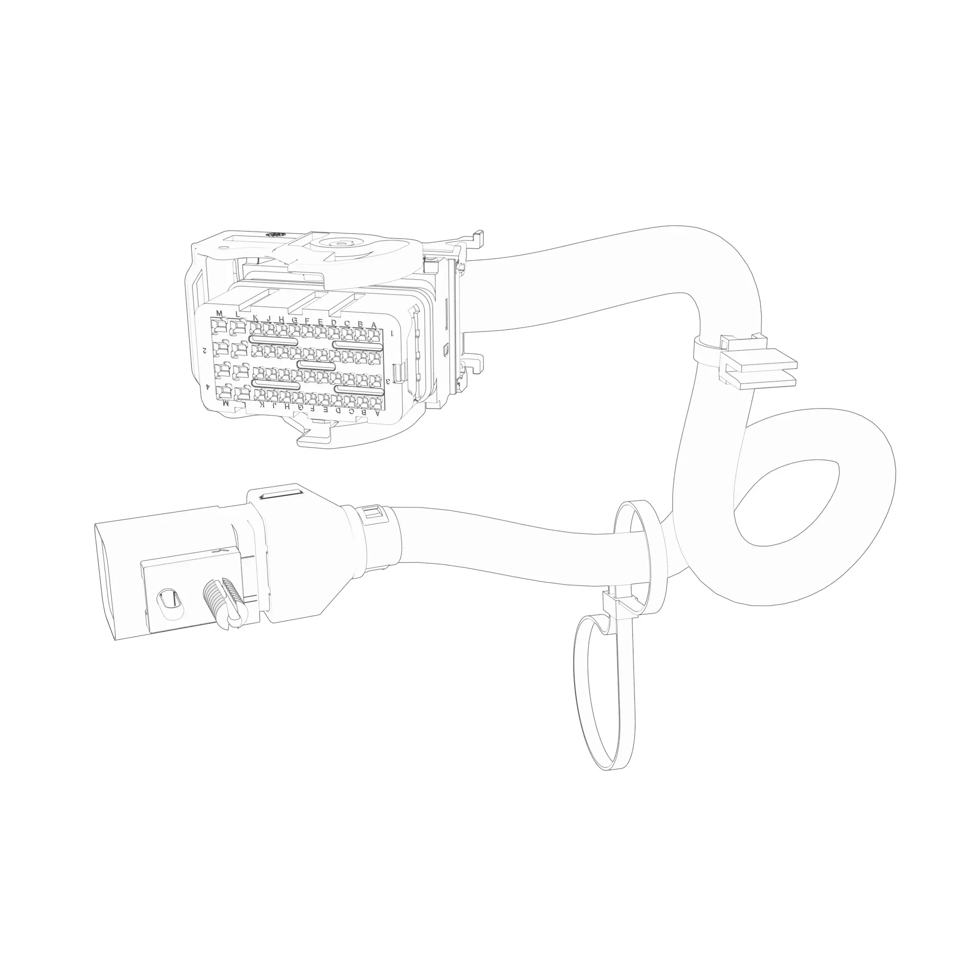 Wiring Harness