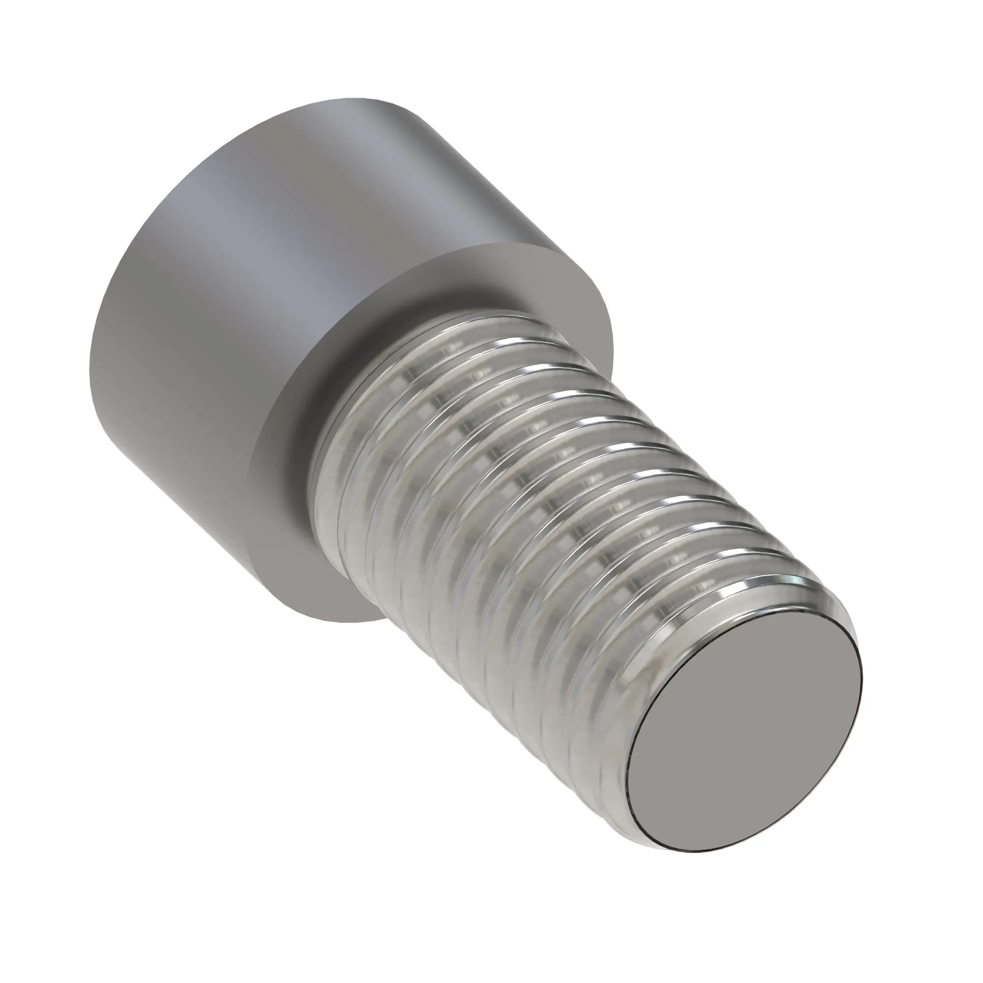 Socket Head Screw