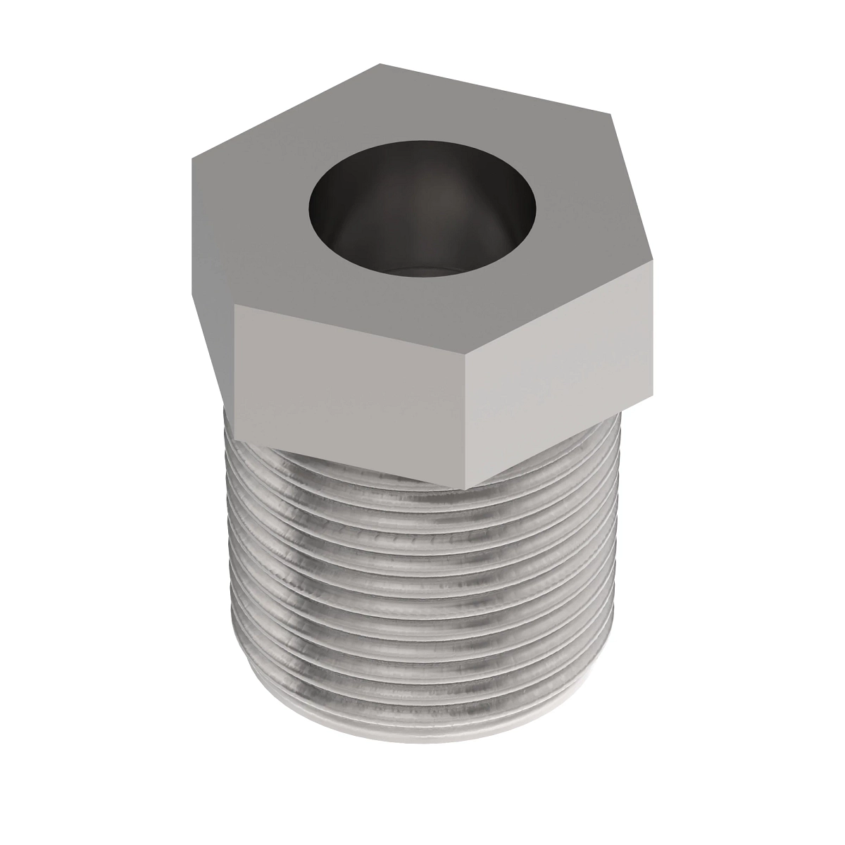Pipe Bushing or Adaptor