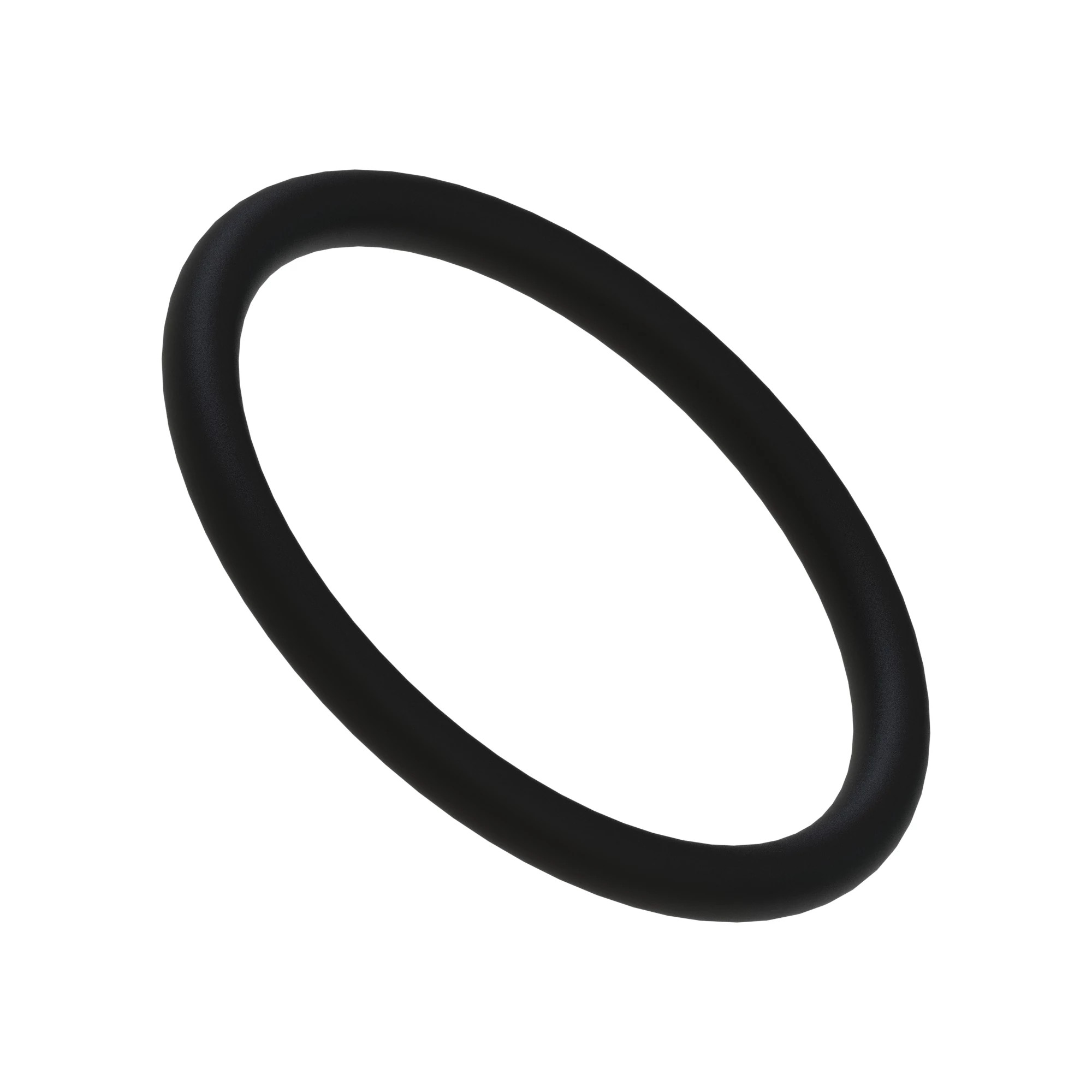 GASKET - FOAMER TANK FILTER