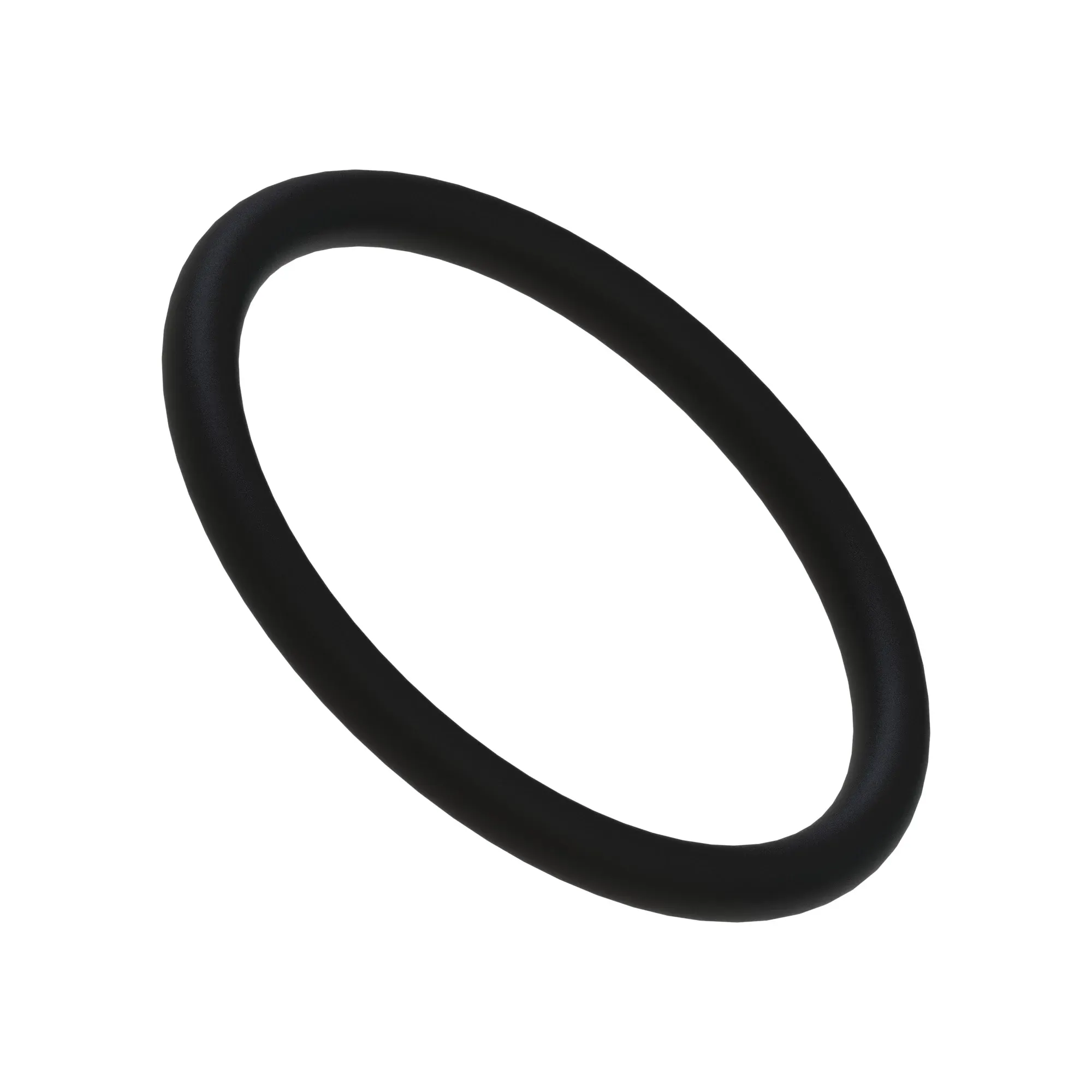 Gasket - Foamer Tank Filter