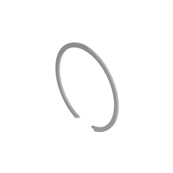 RING-SNAP