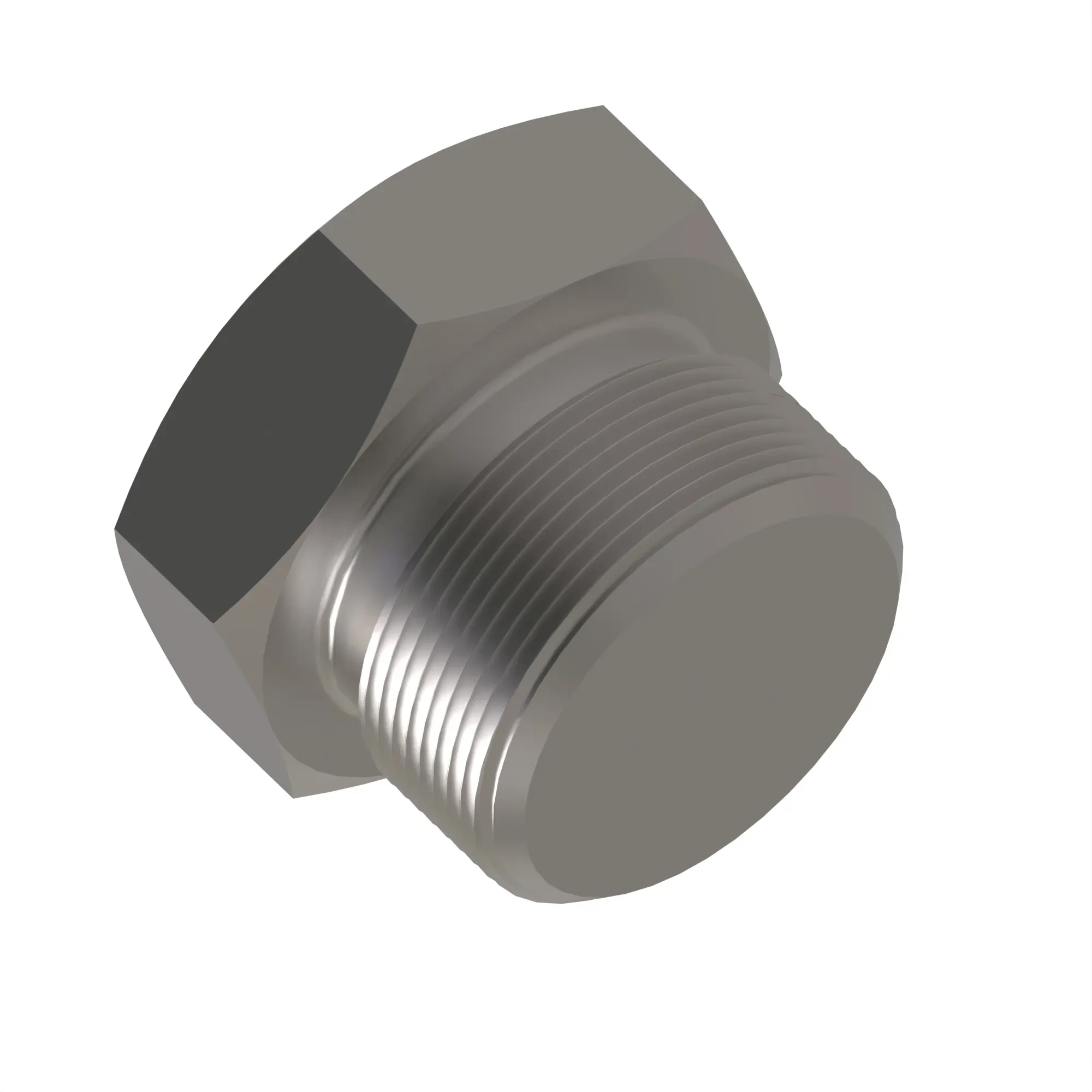Fitting Plug