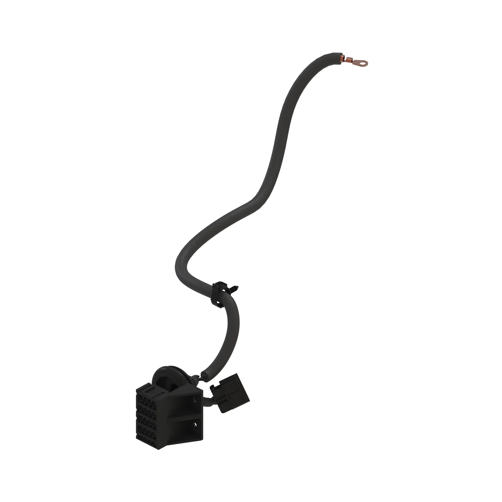 PTM, FUSE, CHINA BASE