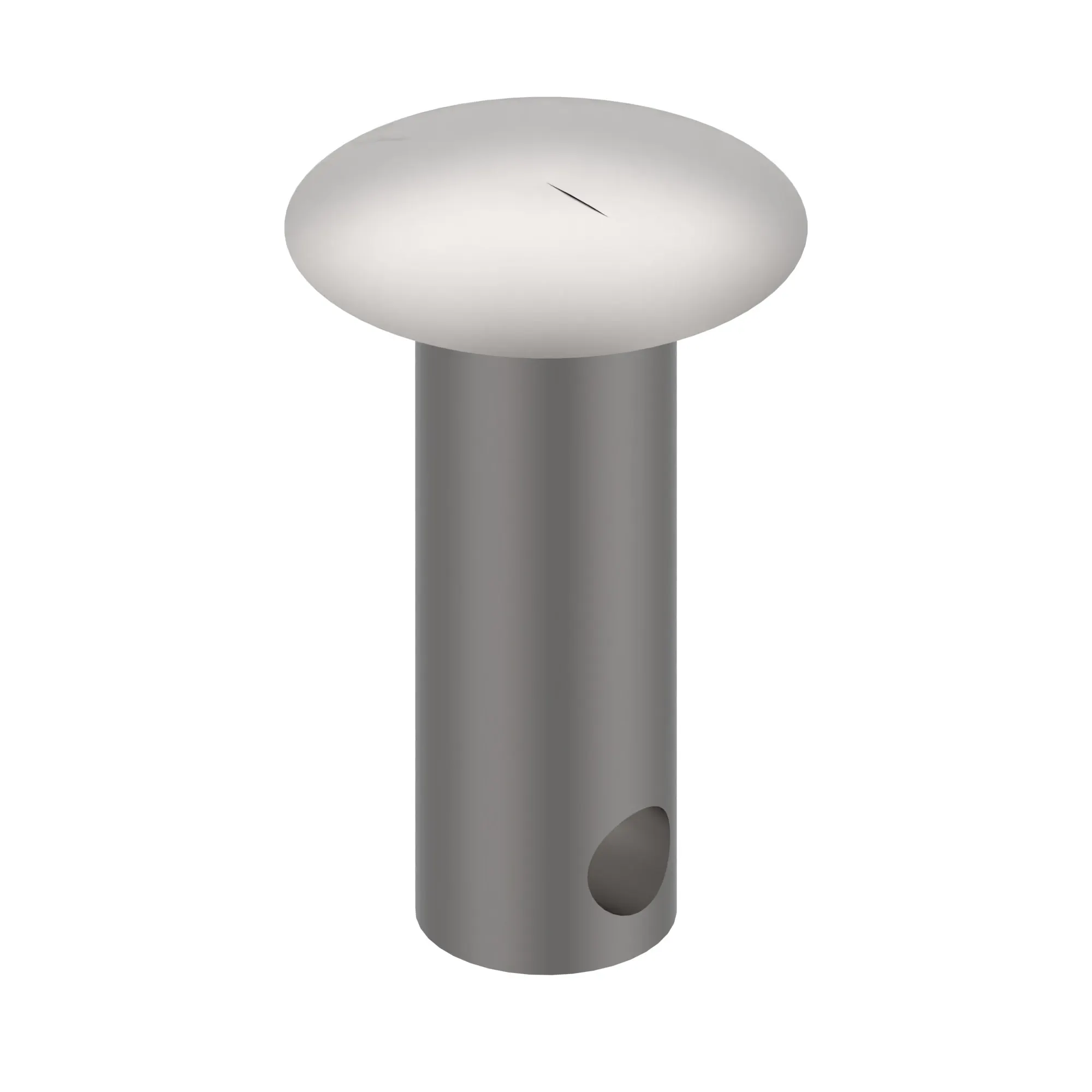 Pin Fastener