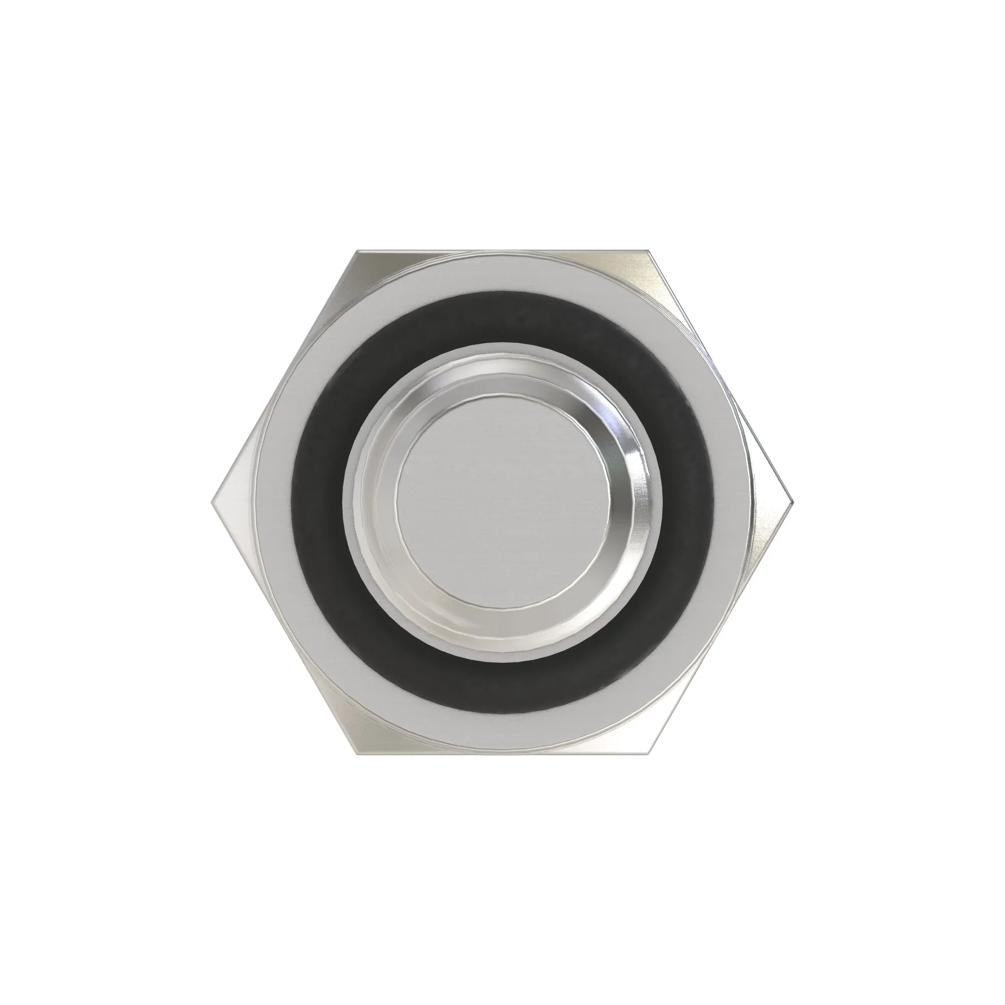 Fitting Plug