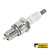 Sunbelt Spark Plug - A-B16578