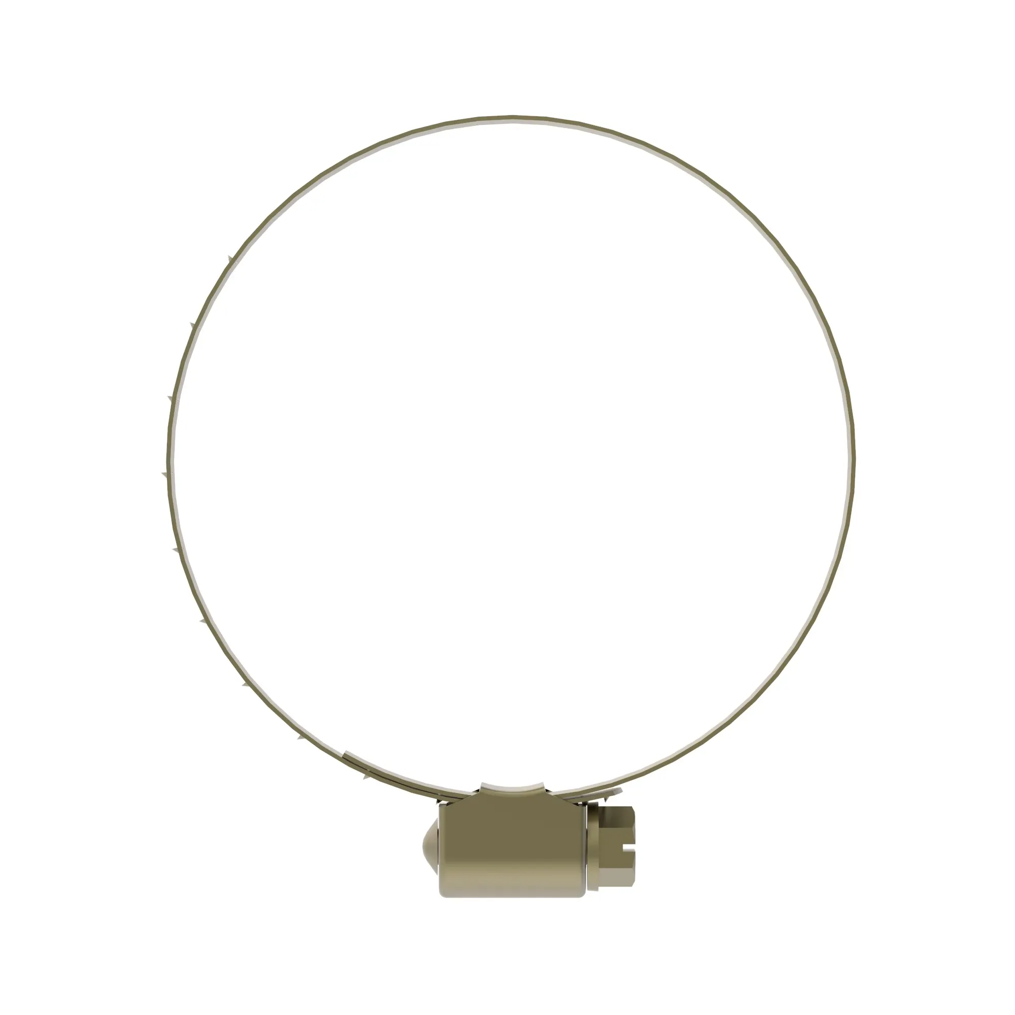 Hose Clamp